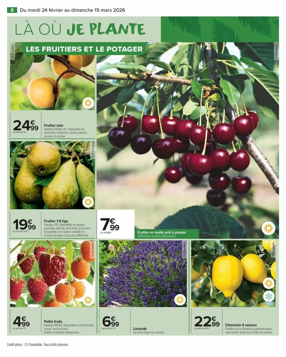 Prospectus promotionnel Carrefour valable à partir du 24/02/2026 - Page 10.