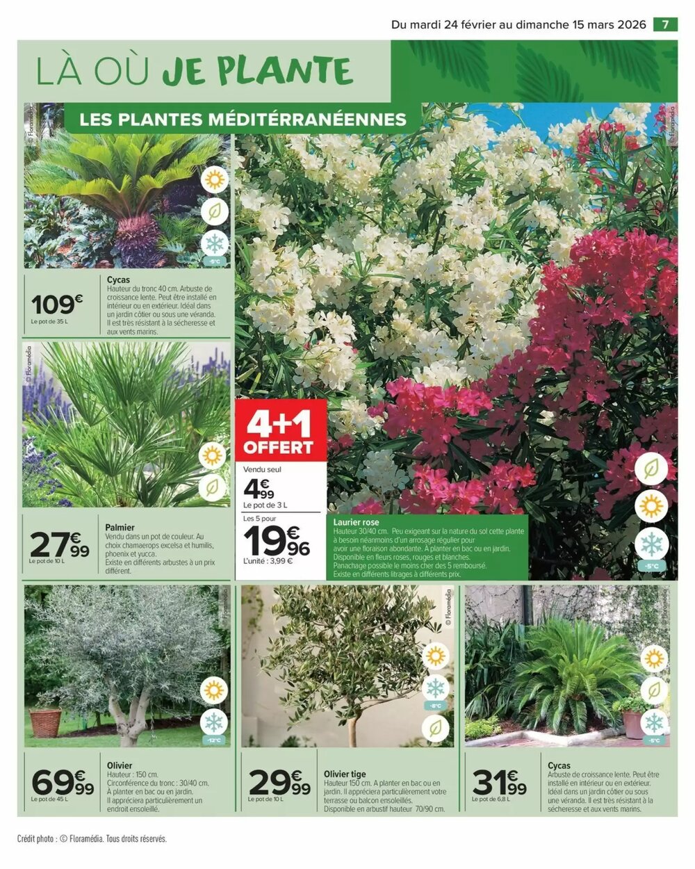 Prospectus promotionnel Carrefour valable à partir du 24/02/2026 - Page 9.