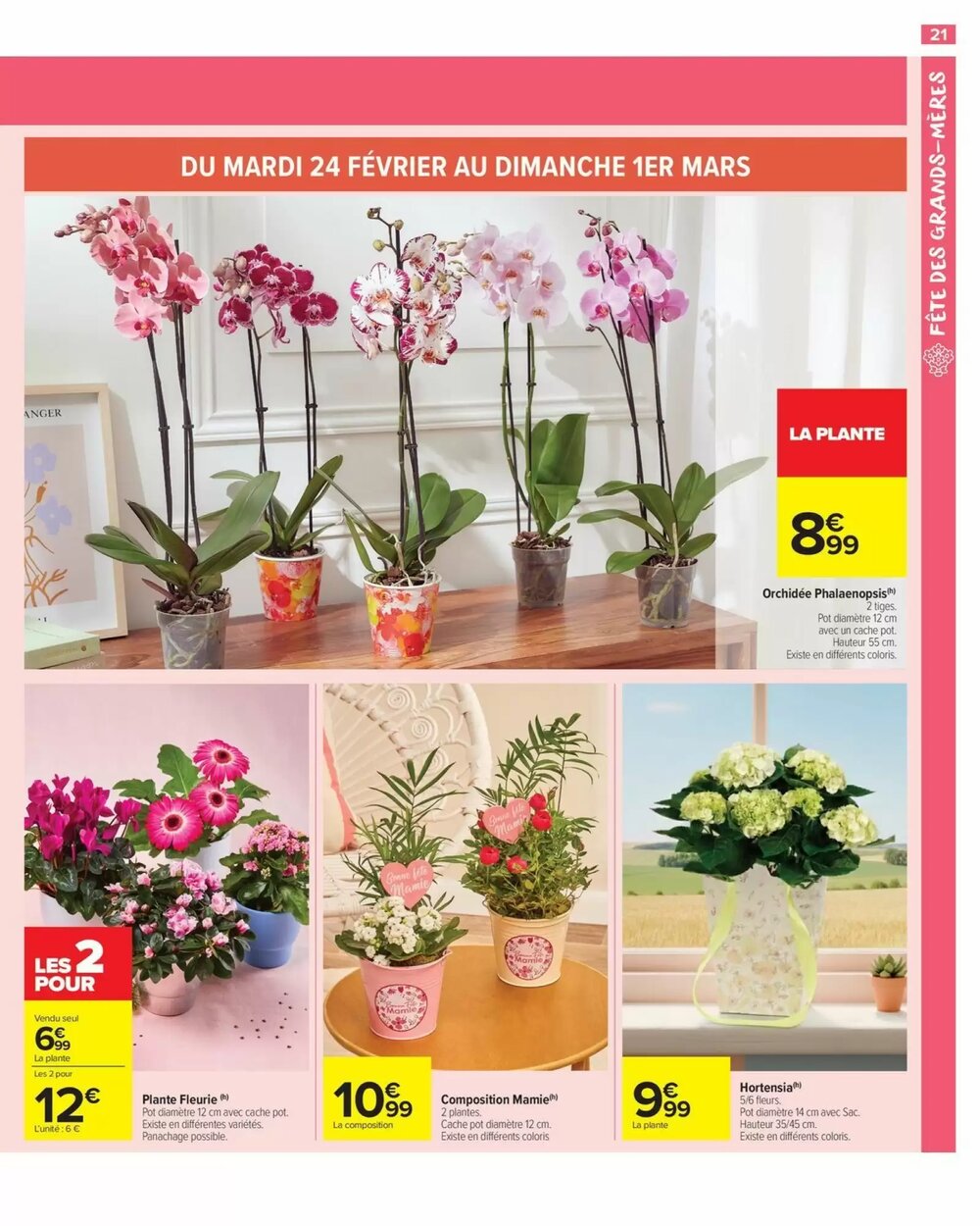 Prospectus promotionnel Carrefour valable à partir du 24/02/2026 - Page 23.