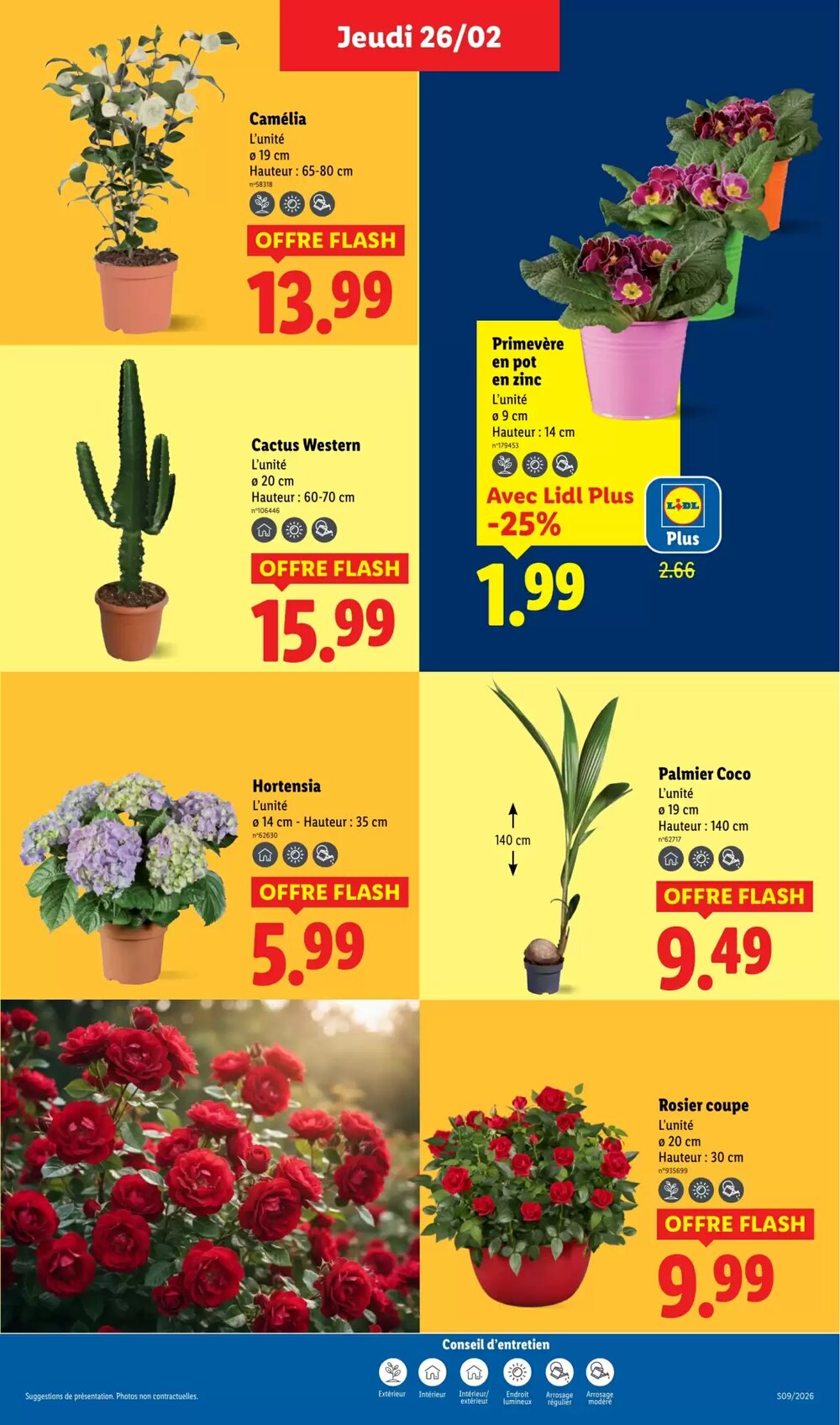 Prospectus promotionnel Lidl valable à partir du 26/02/2026 - Page 29.