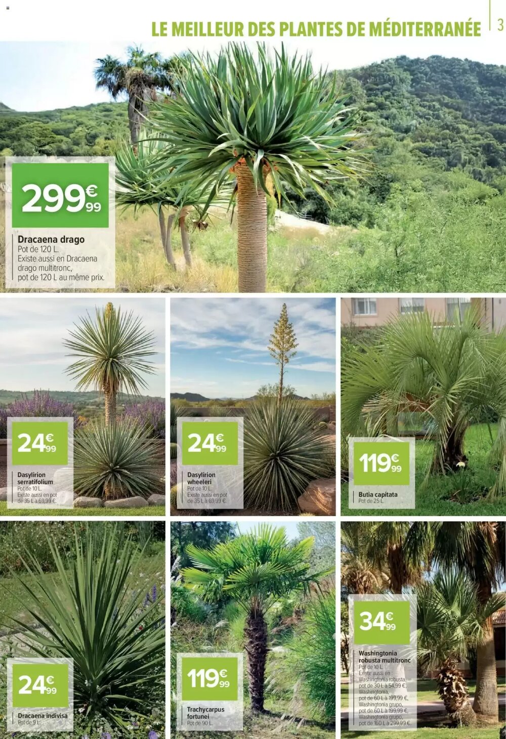 Prospectus promotionnel Carrefour valable à partir du 11/03/2026 - Page 3.