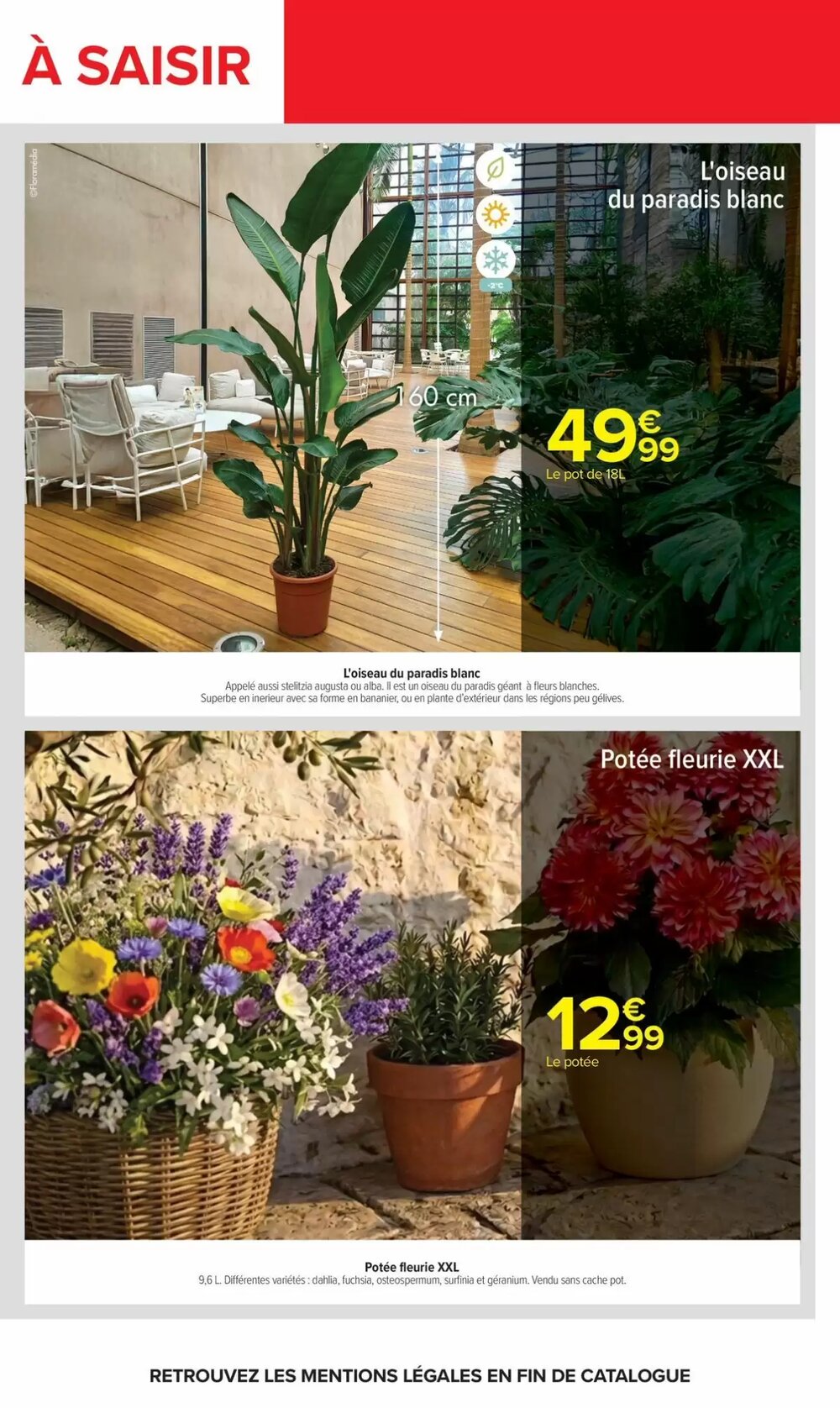 Prospectus promotionnel Carrefour valable à partir du 05/05/2026 - Page 71.