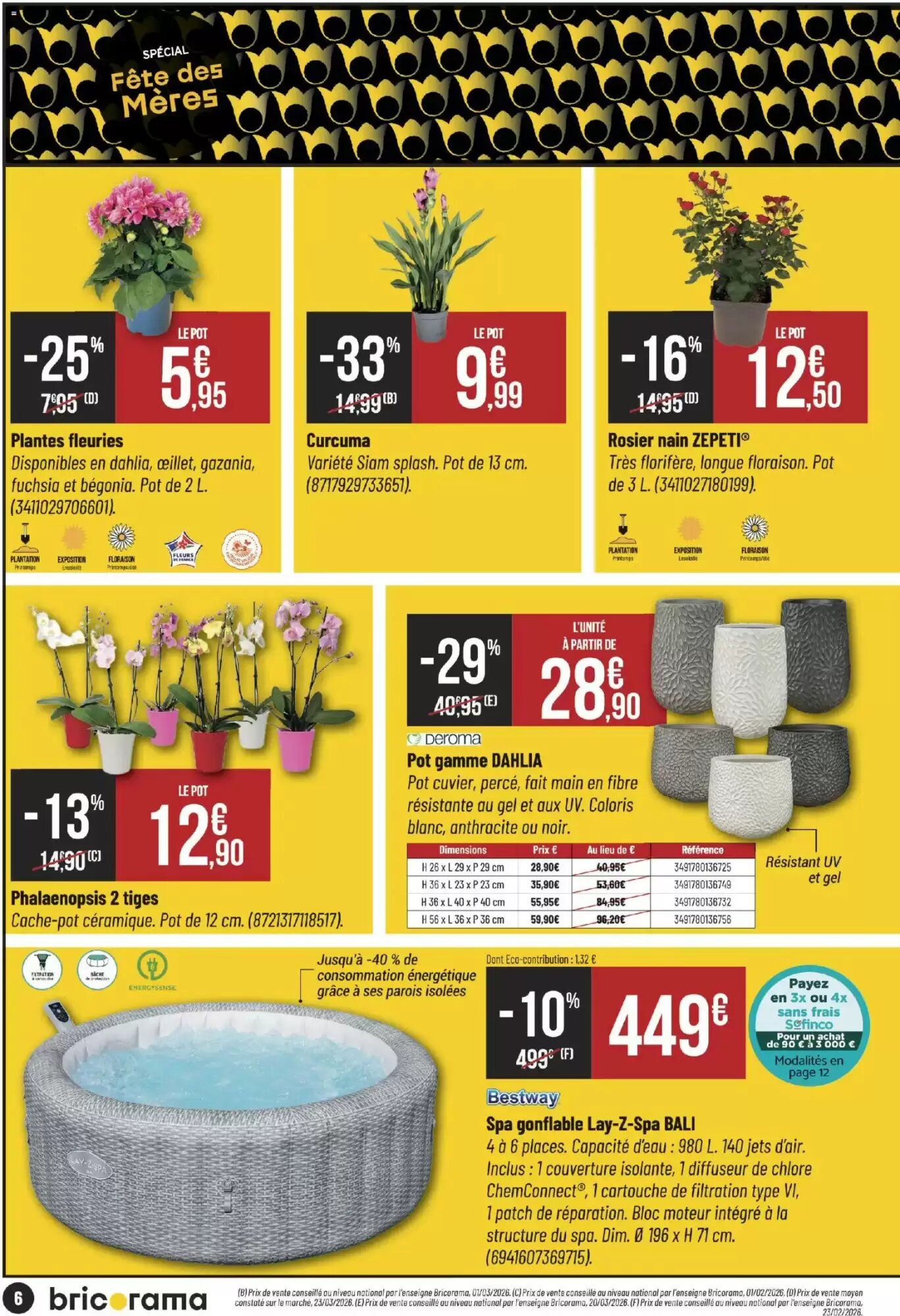 Prospectus promotionnel Bricorama valable à partir du 20/05/2026 - Page 6.