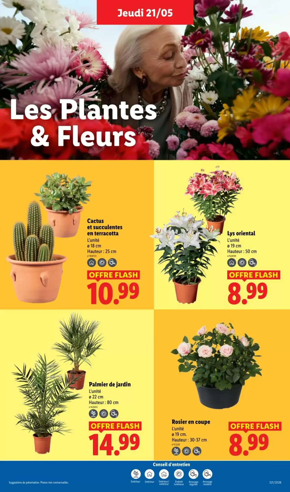 Prospectus promotionnel Lidl valable à partir du 21/05/2026 - Page 25.