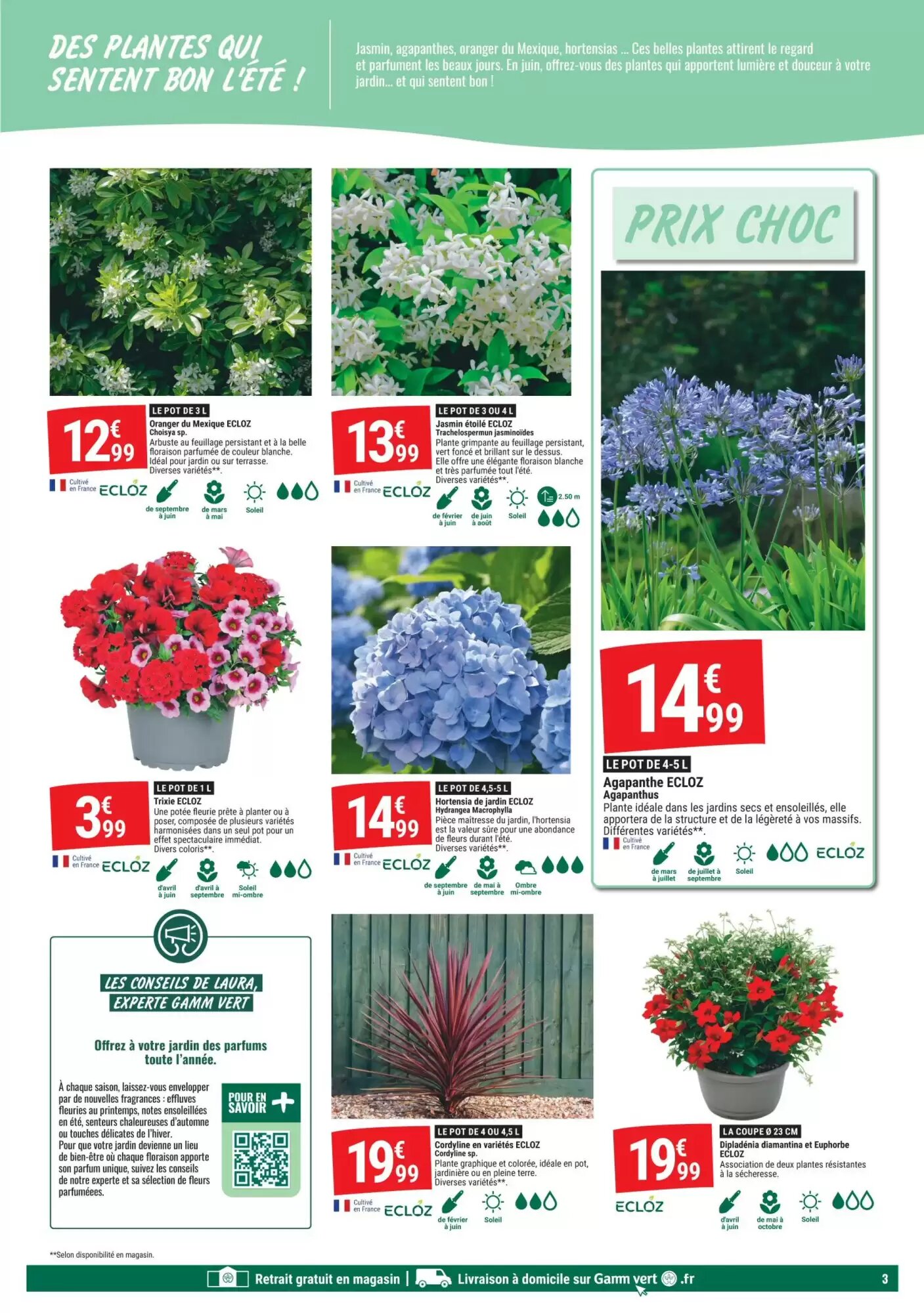 Prospectus promotionnel Gamm vert valable à partir du 27/05/2026 - Page 3.