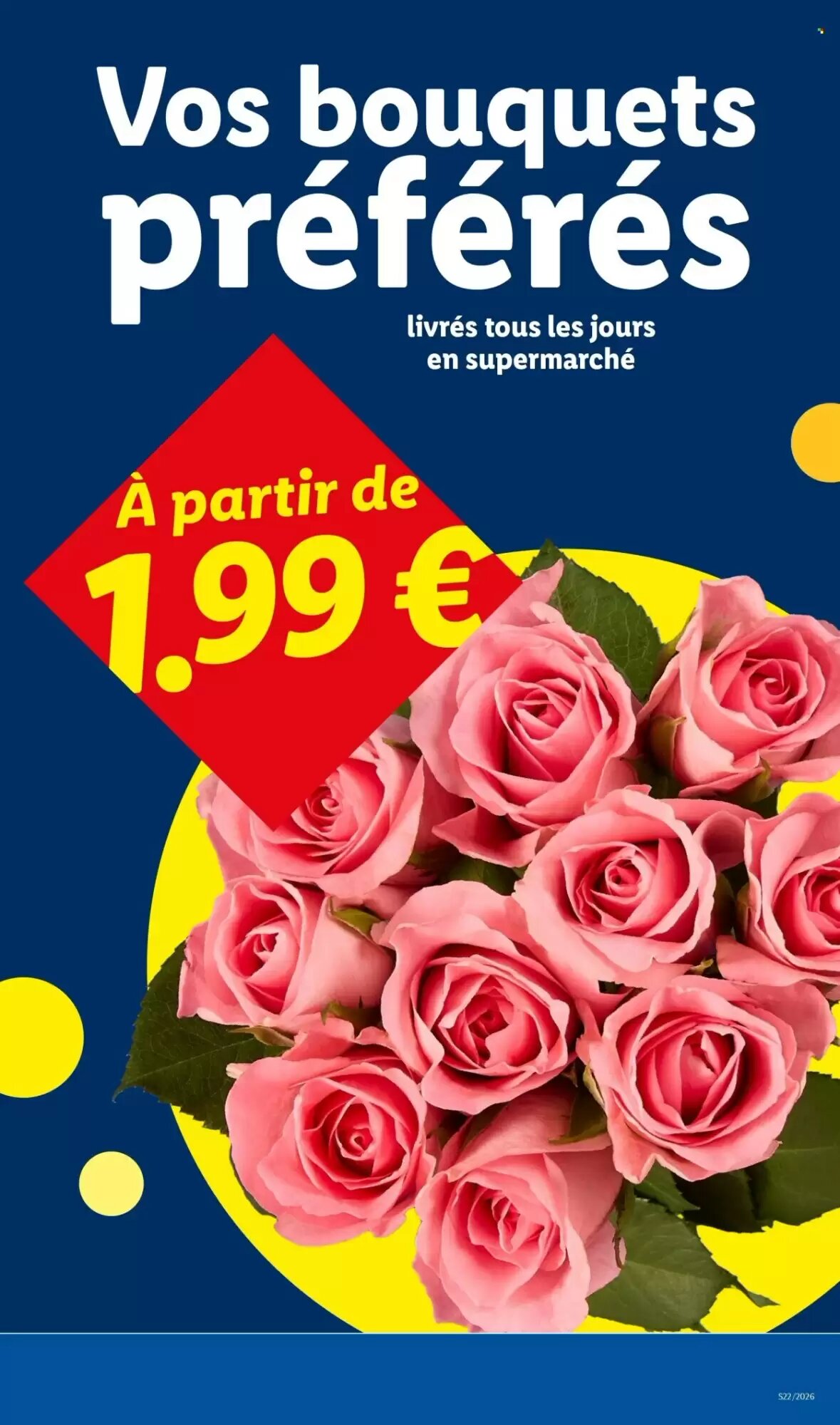Prospectus promotionnel Lidl valable à partir du 28/05/2026 - Page 29.