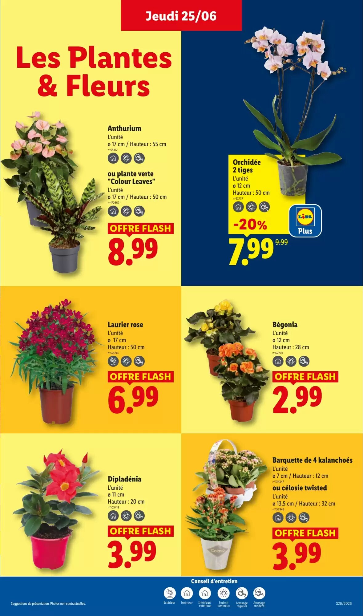 Prospectus promotionnel Lidl valable à partir du 25/06/2026 - Page 29.