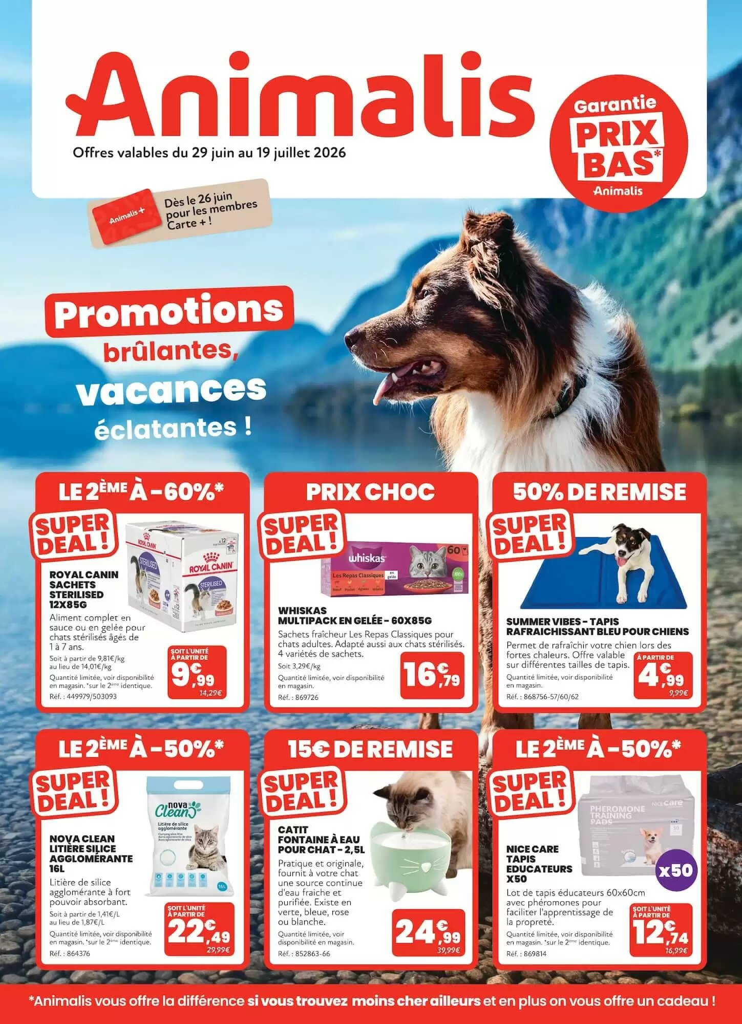Prospectus promotionnel Animalis valable à partir du 29/06/2026 - Page 1.
