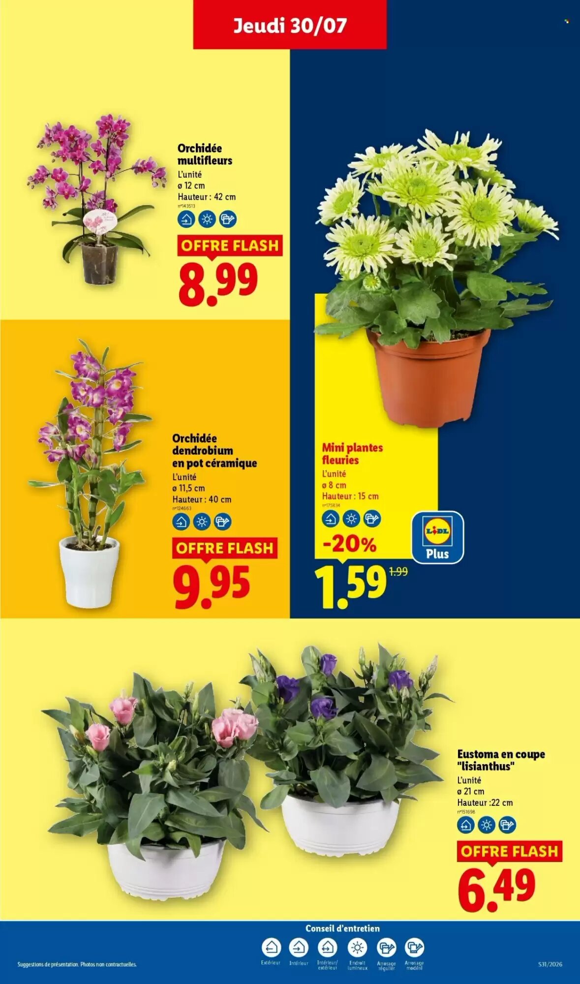 Prospectus promotionnel Lidl valable à partir du 30/07/2026 - Page 29.