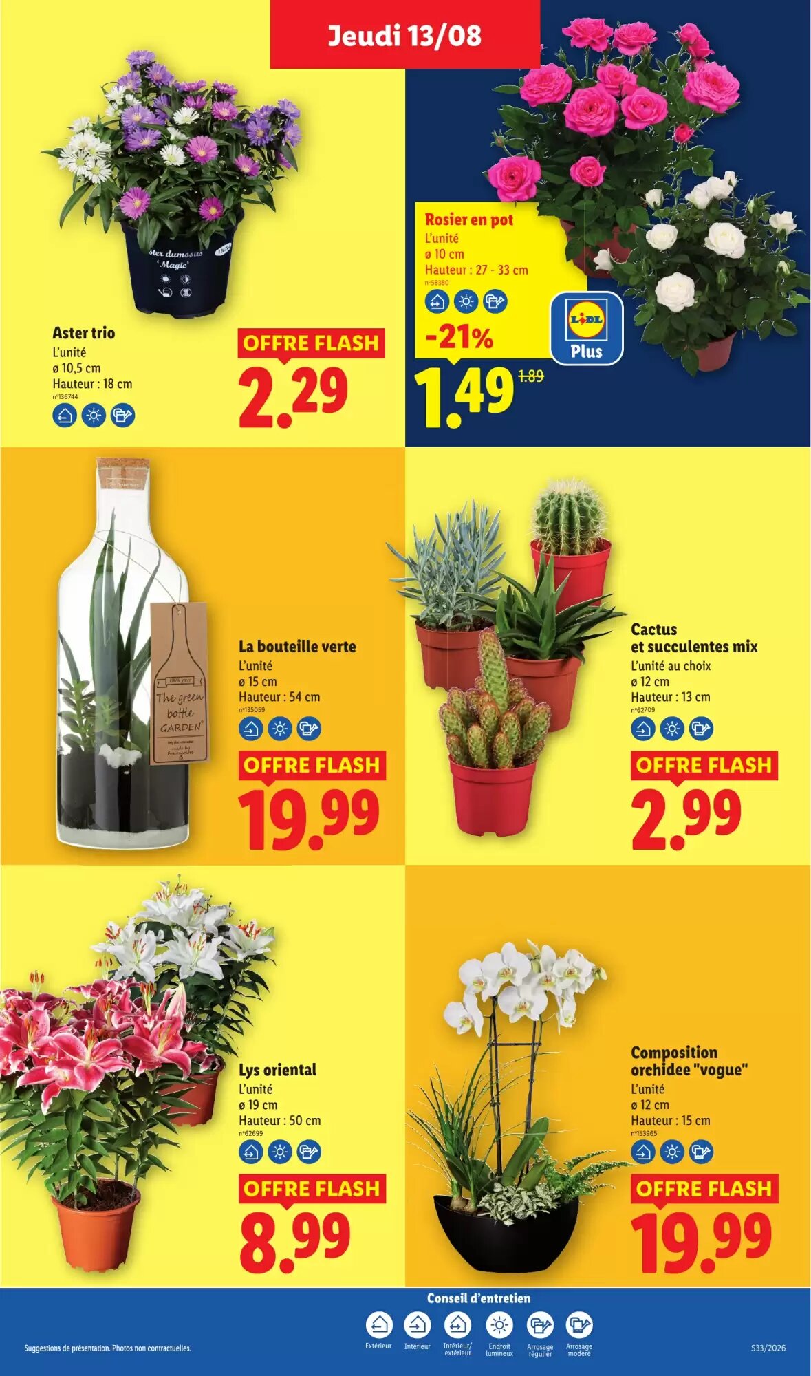 Prospectus promotionnel Lidl valable à partir du 13/08/2026 - Page 29.