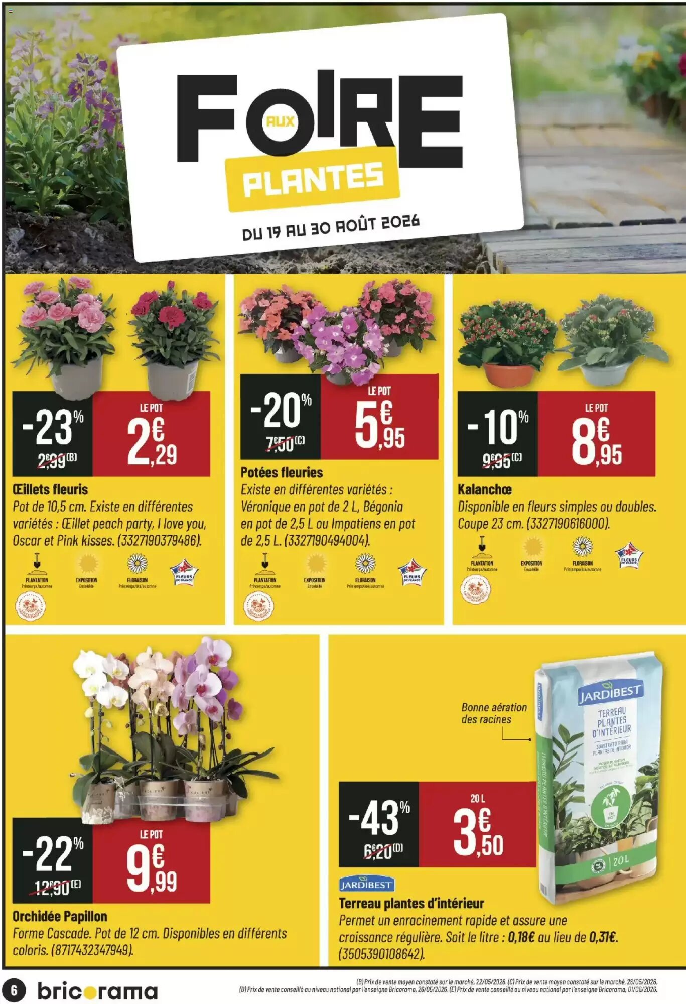 Prospectus promotionnel Bricorama valable à partir du 19/08/2026 - Page 6.