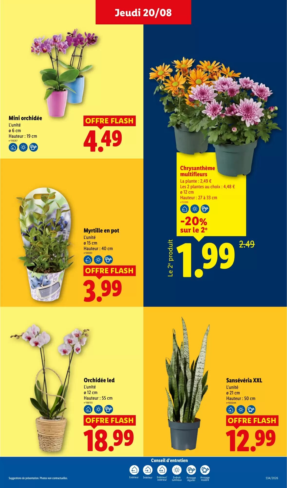 Prospectus promotionnel Lidl valable à partir du 20/08/2026 - Page 29.