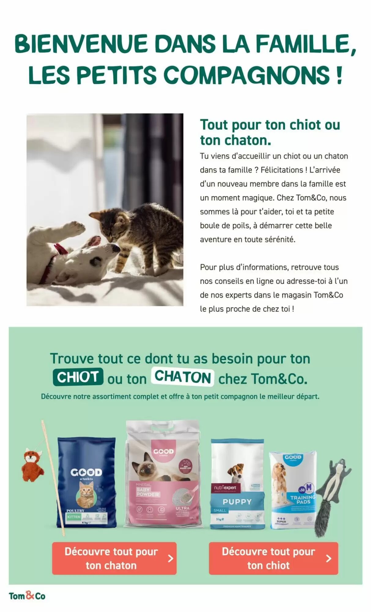 Prospectus promotionnel Tom&Co valable à partir du 28/08/2026 - Page 6.