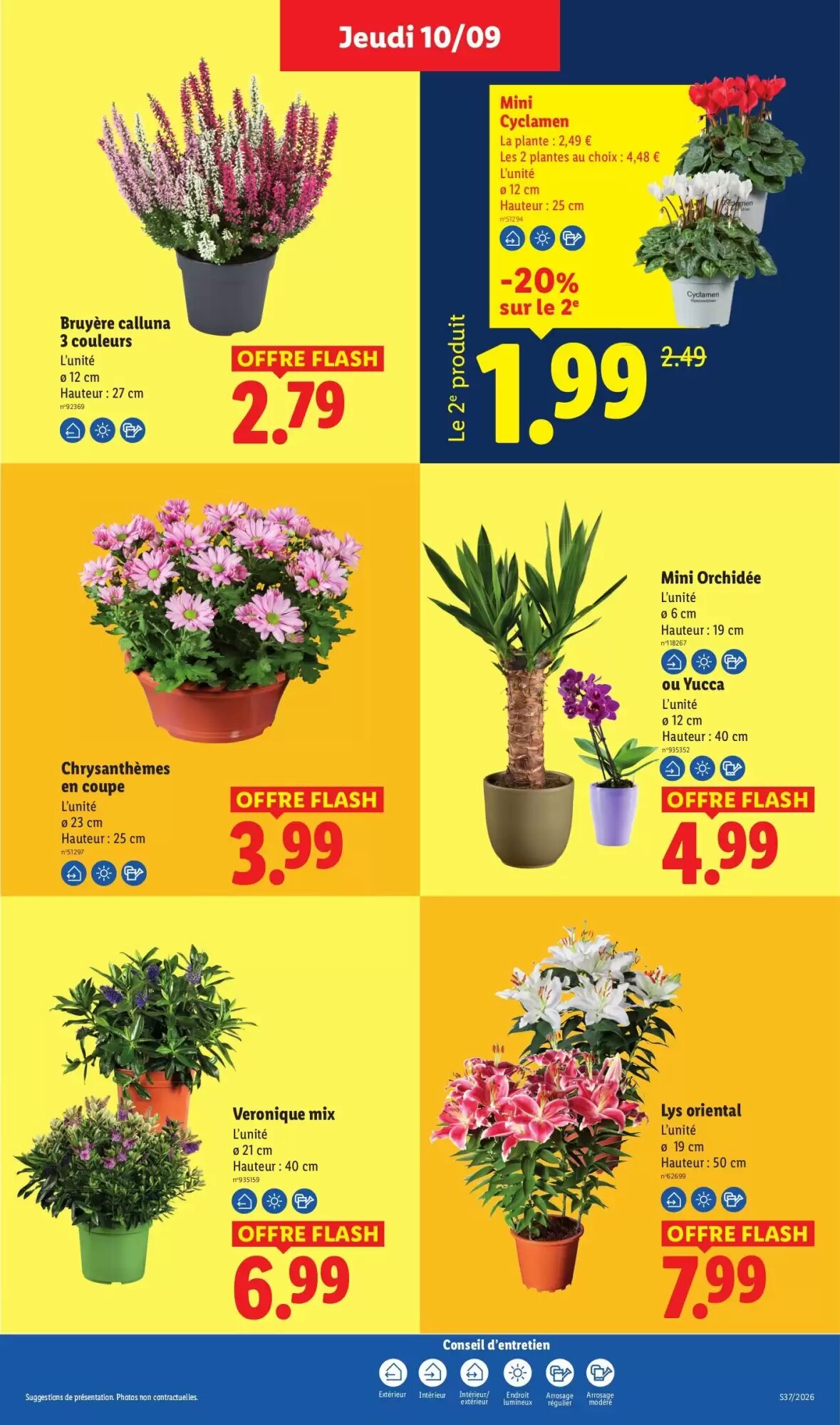 Prospectus promotionnel Lidl valable à partir du 03/09/2026 - Page 49.