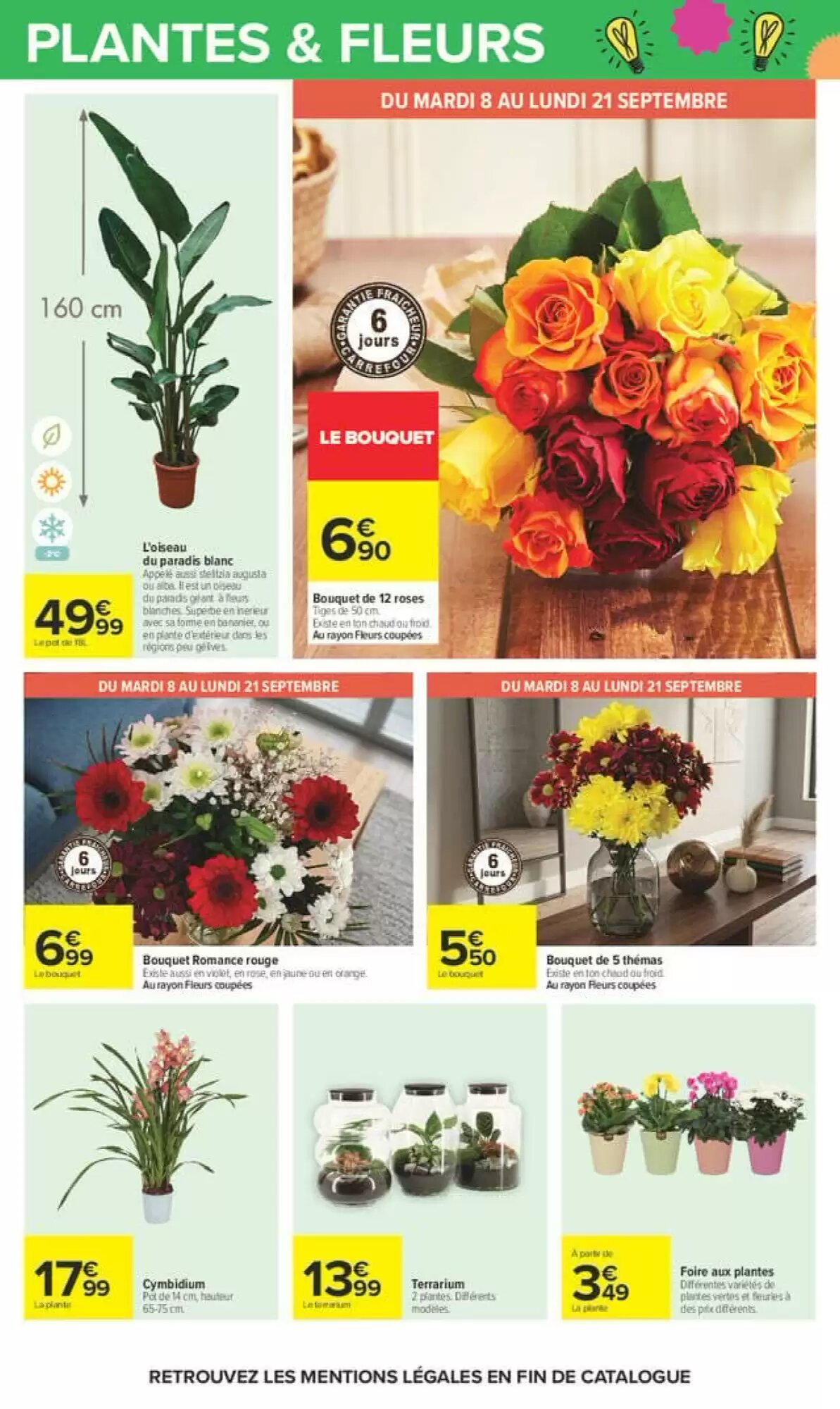Prospectus promotionnel Carrefour valable à partir du 08/09/2026 - Page 61.