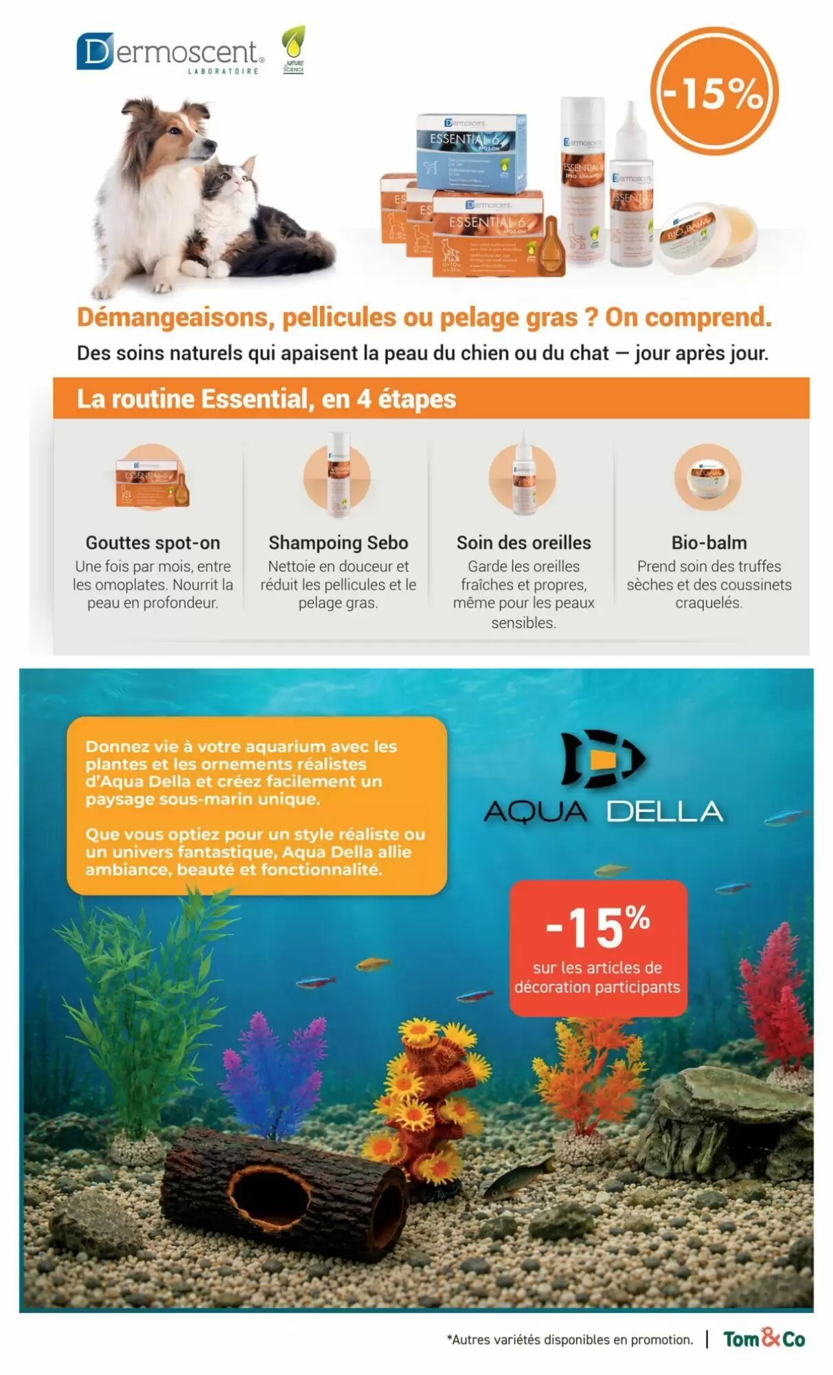 Prospectus promotionnel Tom&Co valable à partir du 14/09/2026 - Page 3.