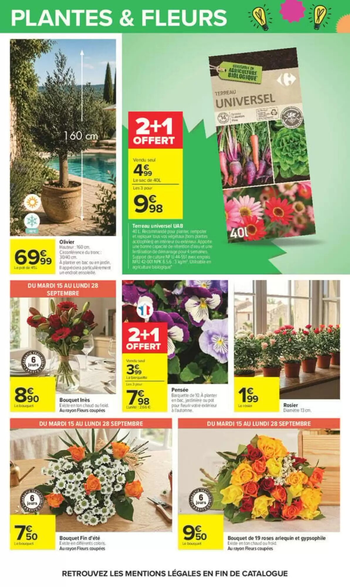 Prospectus promotionnel Carrefour valable à partir du 15/09/2026 - Page 83.