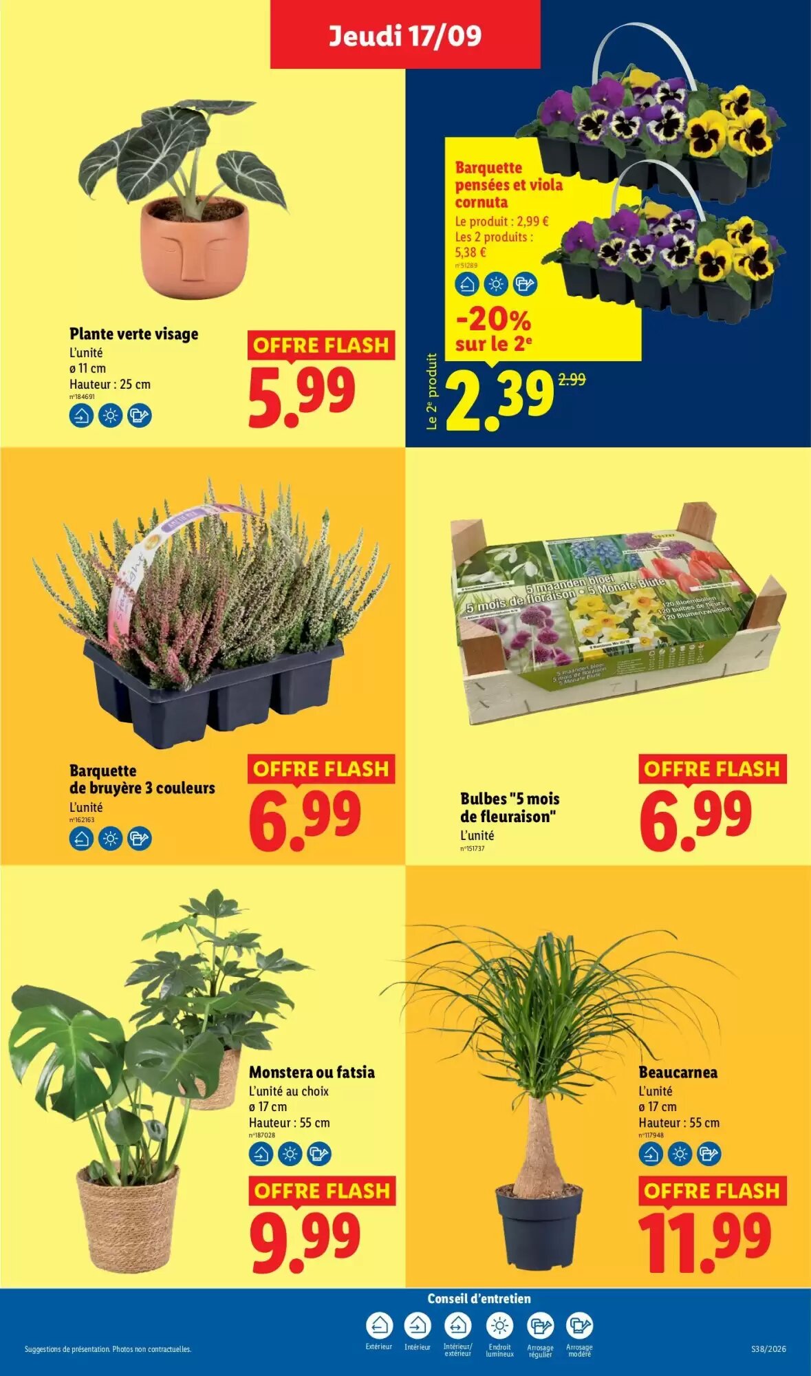 Prospectus promotionnel Lidl valable à partir du 17/09/2026 - Page 29.