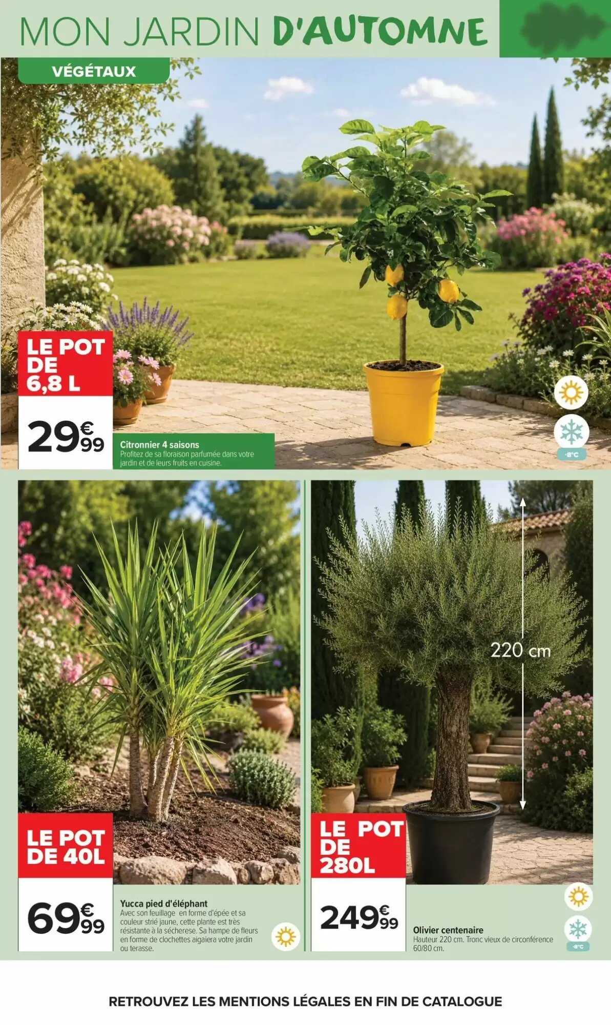 Prospectus promotionnel Carrefour Market valable à partir du 22/09/2026 - Page 5.
