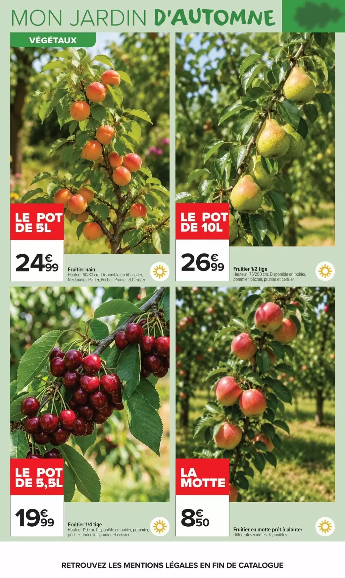Prospectus promotionnel Carrefour Market valable à partir du 22/09/2026 - Page 6.