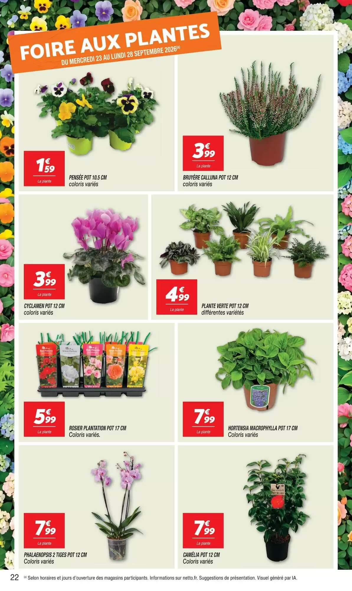 Prospectus promotionnel Netto valable à partir du 22/09/2026 - Page 22.