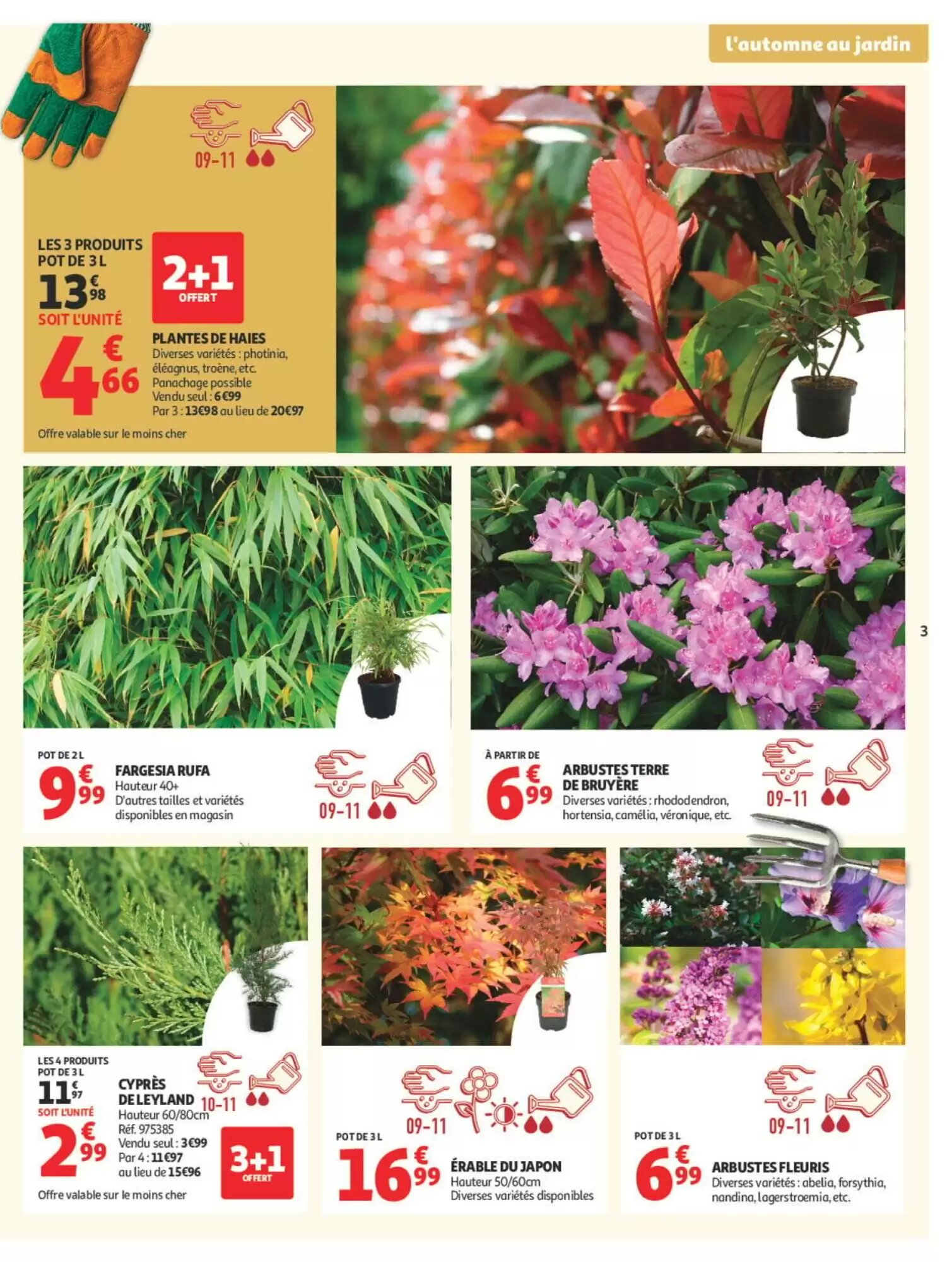 Prospectus promotionnel Carrefour valable à partir du 22/09/2026 - Page 3.