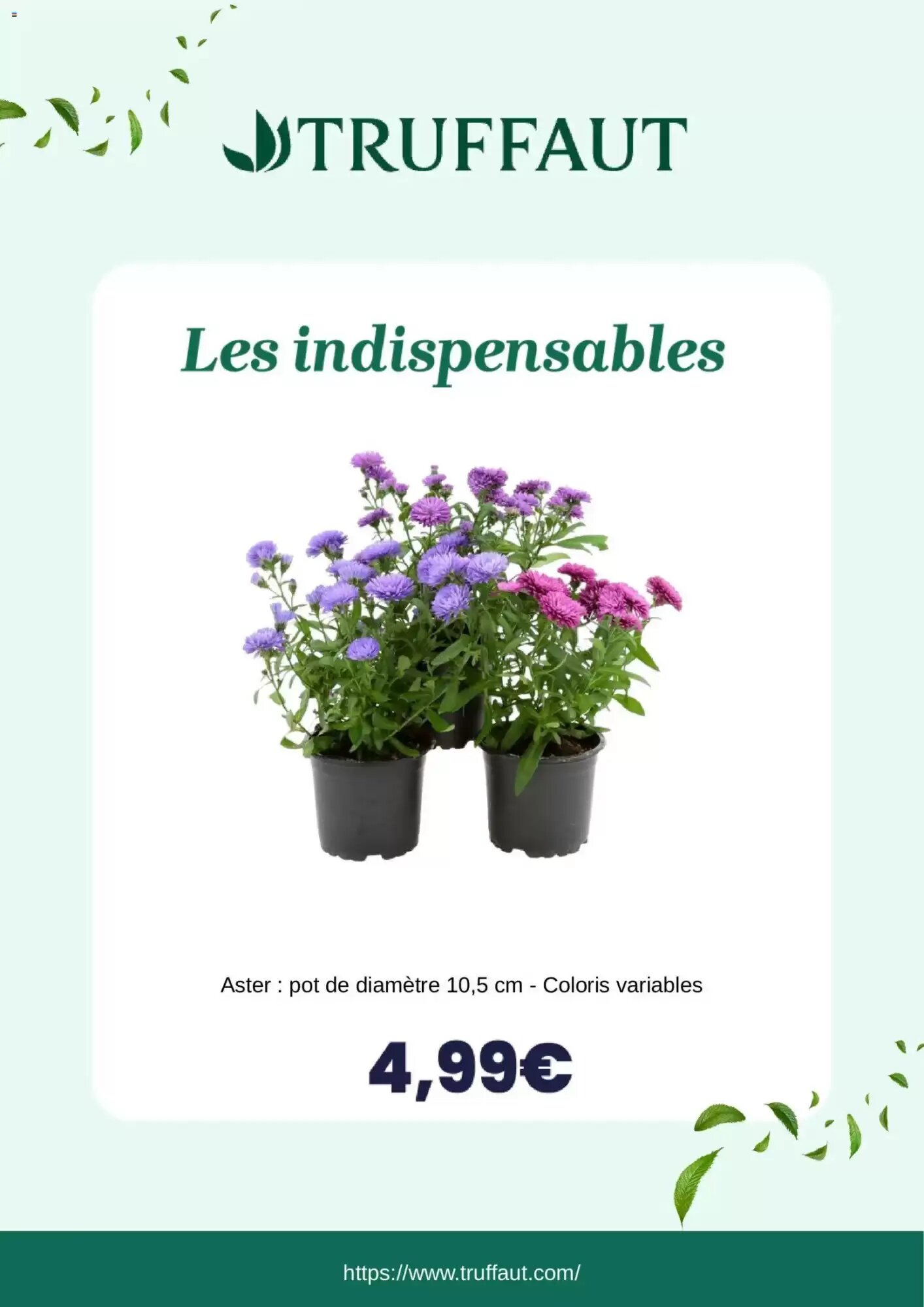 Prospectus promotionnel Truffaut valable à partir du 23/09/2026 - Page 2.