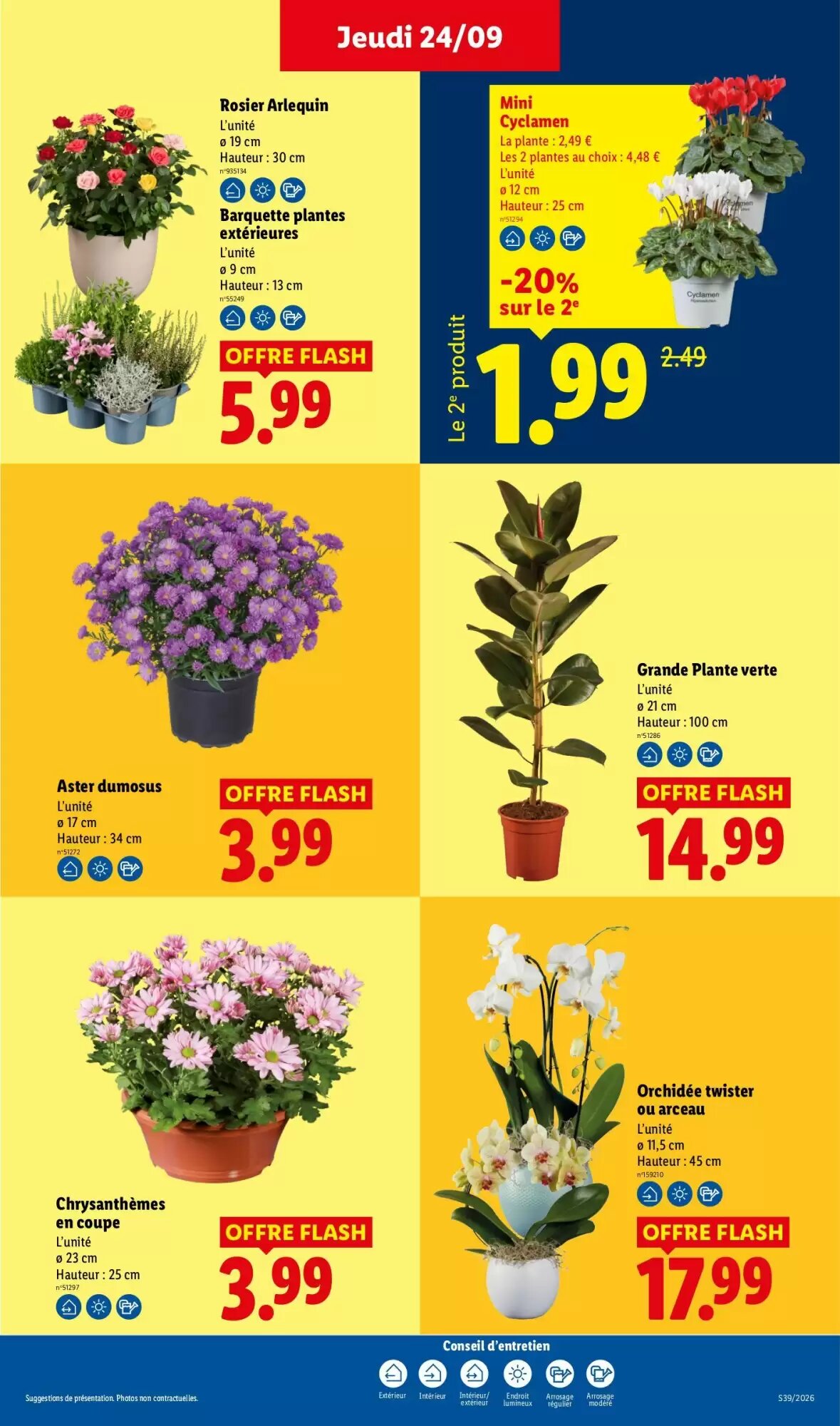 Prospectus promotionnel Lidl valable à partir du 24/09/2026 - Page 29.