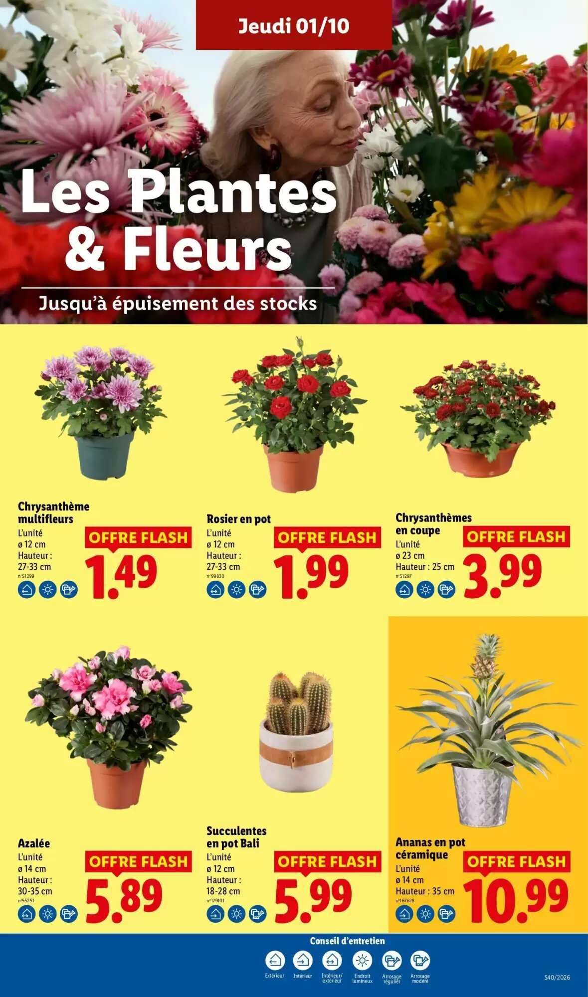 Prospectus promotionnel Lidl valable à partir du 01/10/2026 - Page 29.