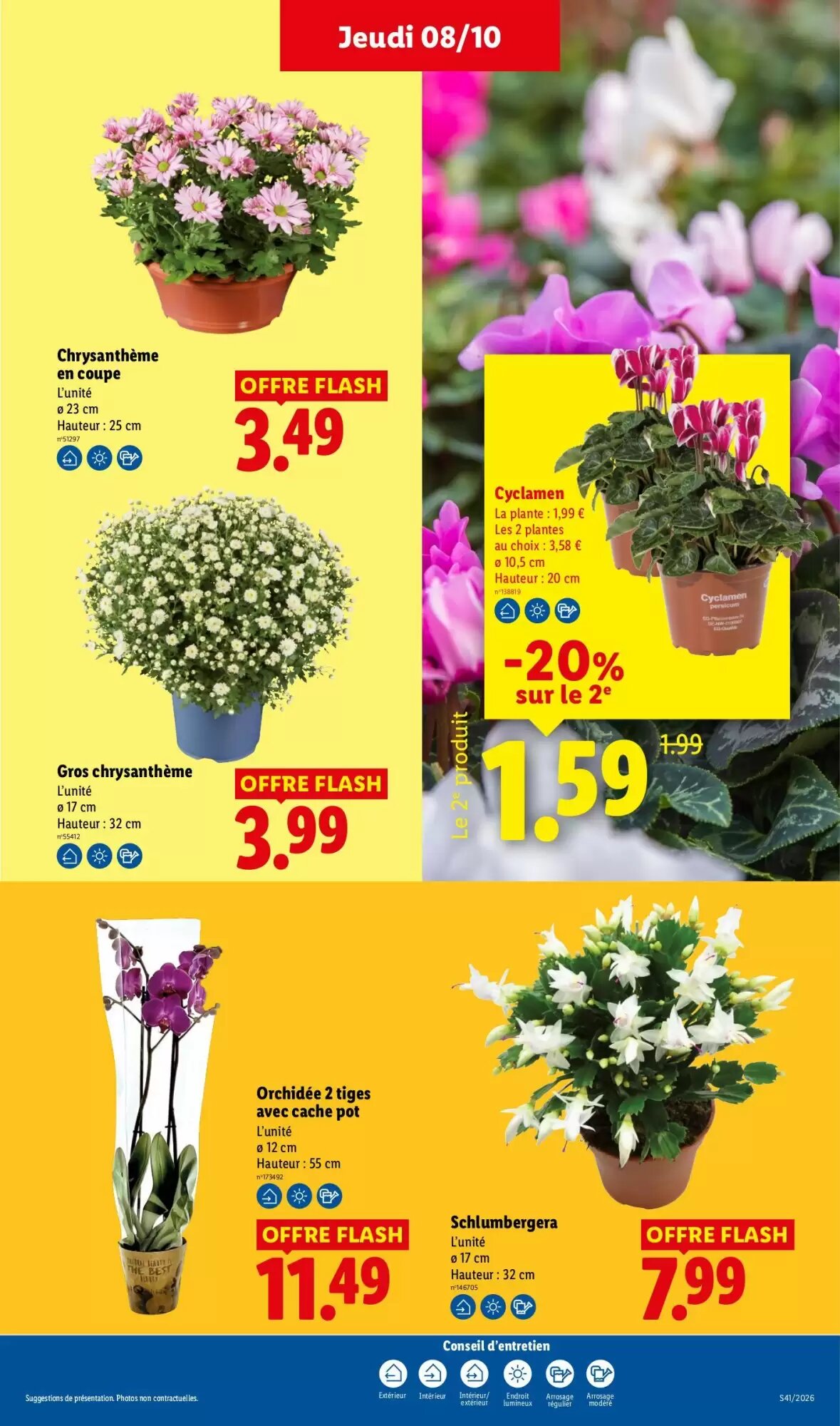 Prospectus promotionnel Lidl valable à partir du 08/10/2026 - Page 29.