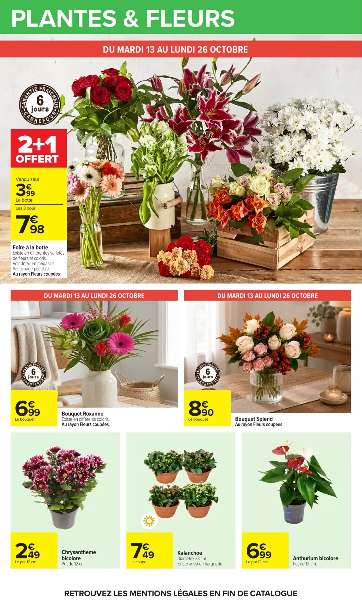 Prospectus promotionnel Carrefour valable à partir du 13/10/2026 - Page 74.