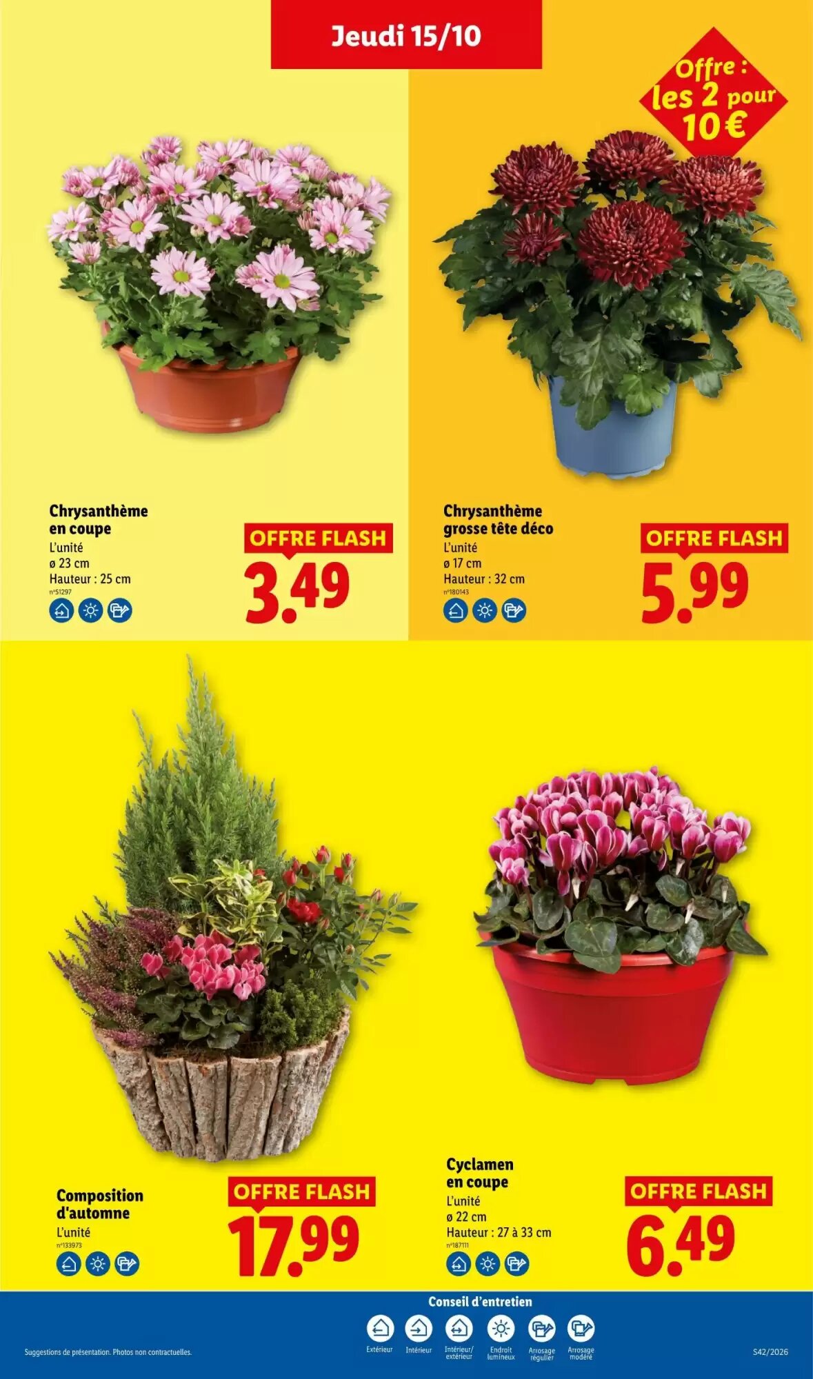 Prospectus promotionnel Lidl valable à partir du 15/10/2026 - Page 41.