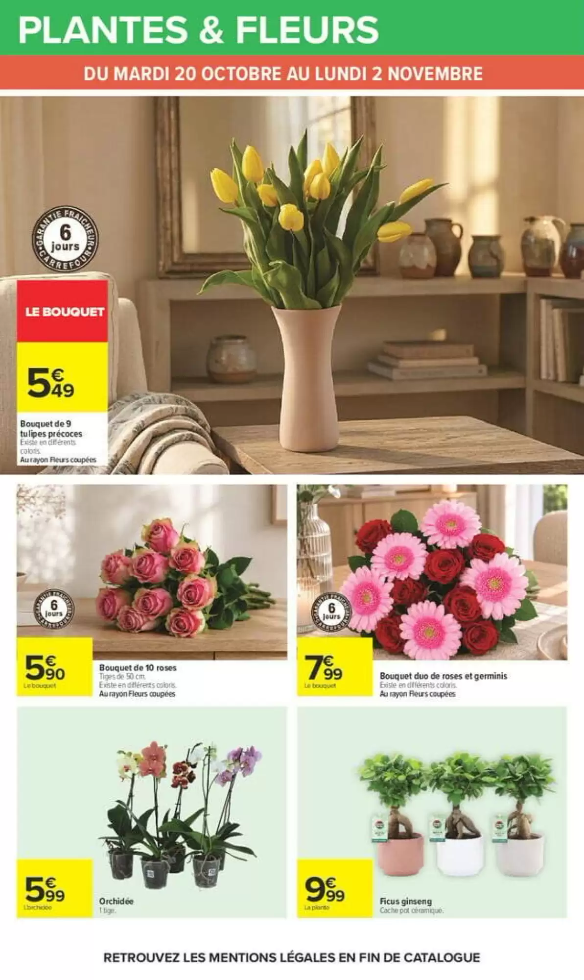Prospectus promotionnel Carrefour valable à partir du 20/10/2026 - Page 64.