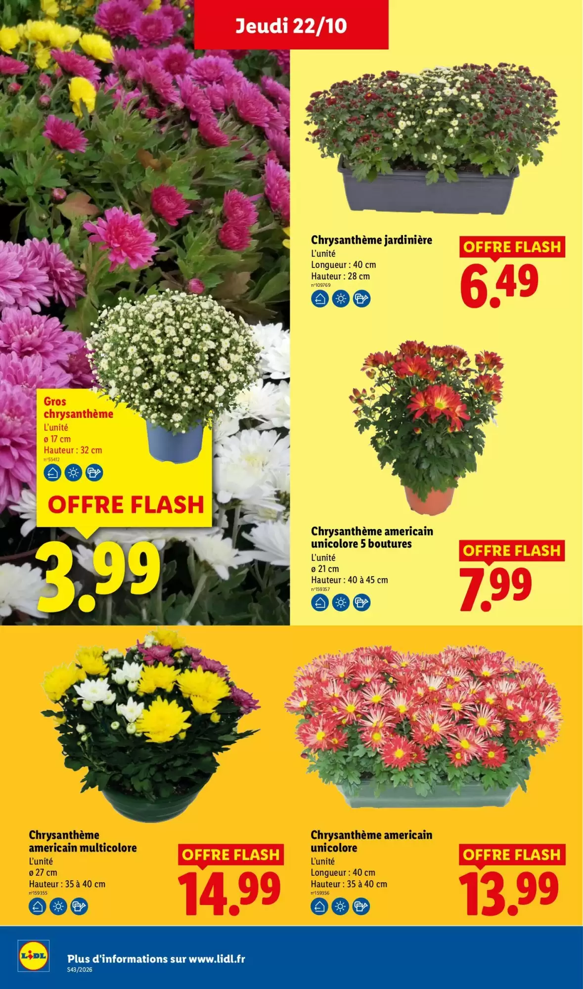 Prospectus promotionnel Lidl valable à partir du 22/10/2026 - Page 33.