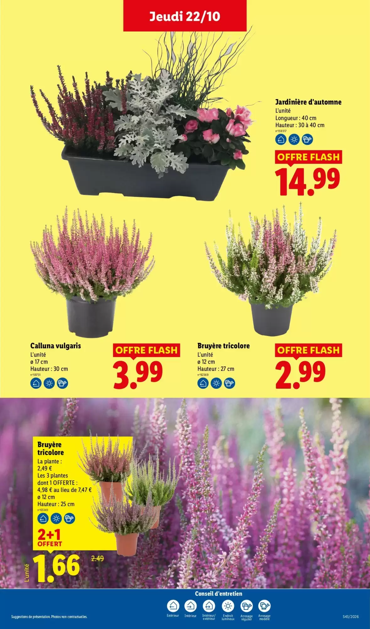 Prospectus promotionnel Lidl valable à partir du 22/10/2026 - Page 34.