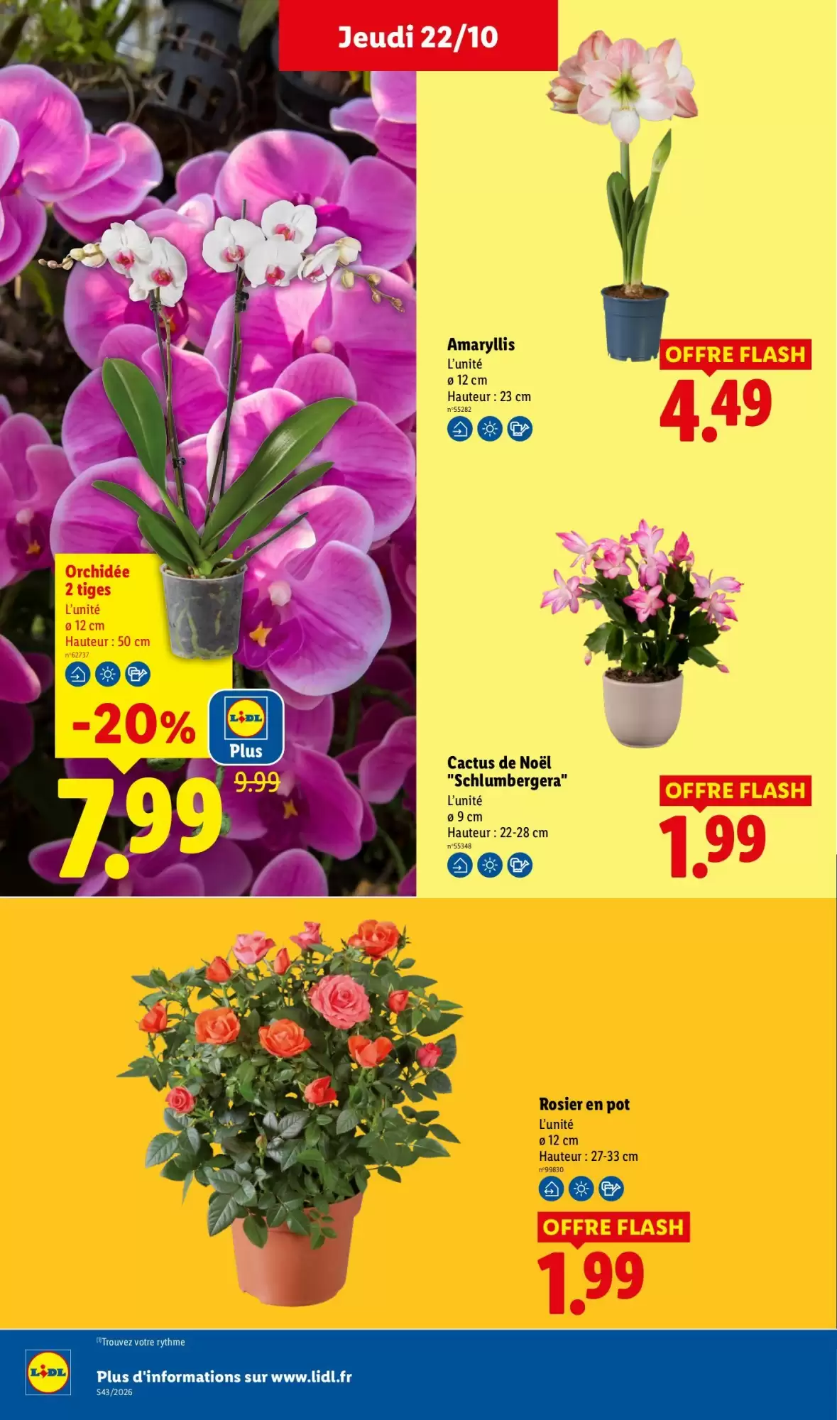 Prospectus promotionnel Lidl valable à partir du 22/10/2026 - Page 35.