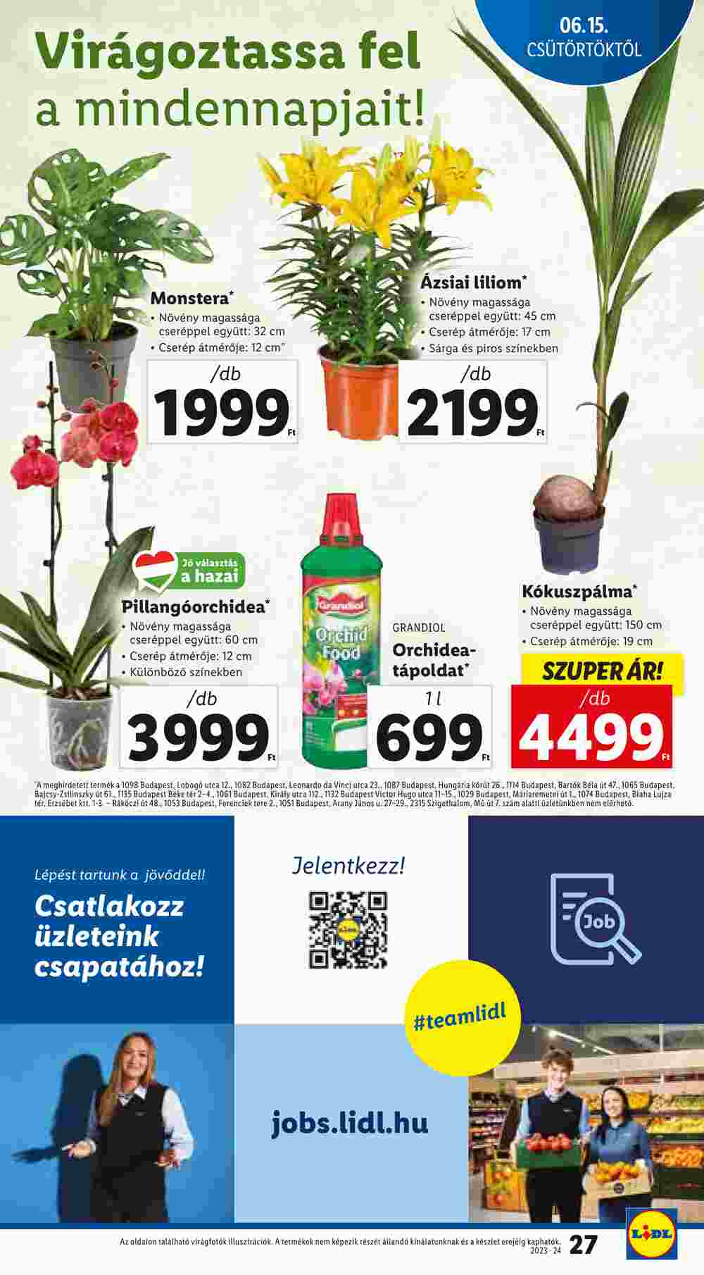 Lidl akciós újság 2023.06.15-től - 27. oldal.