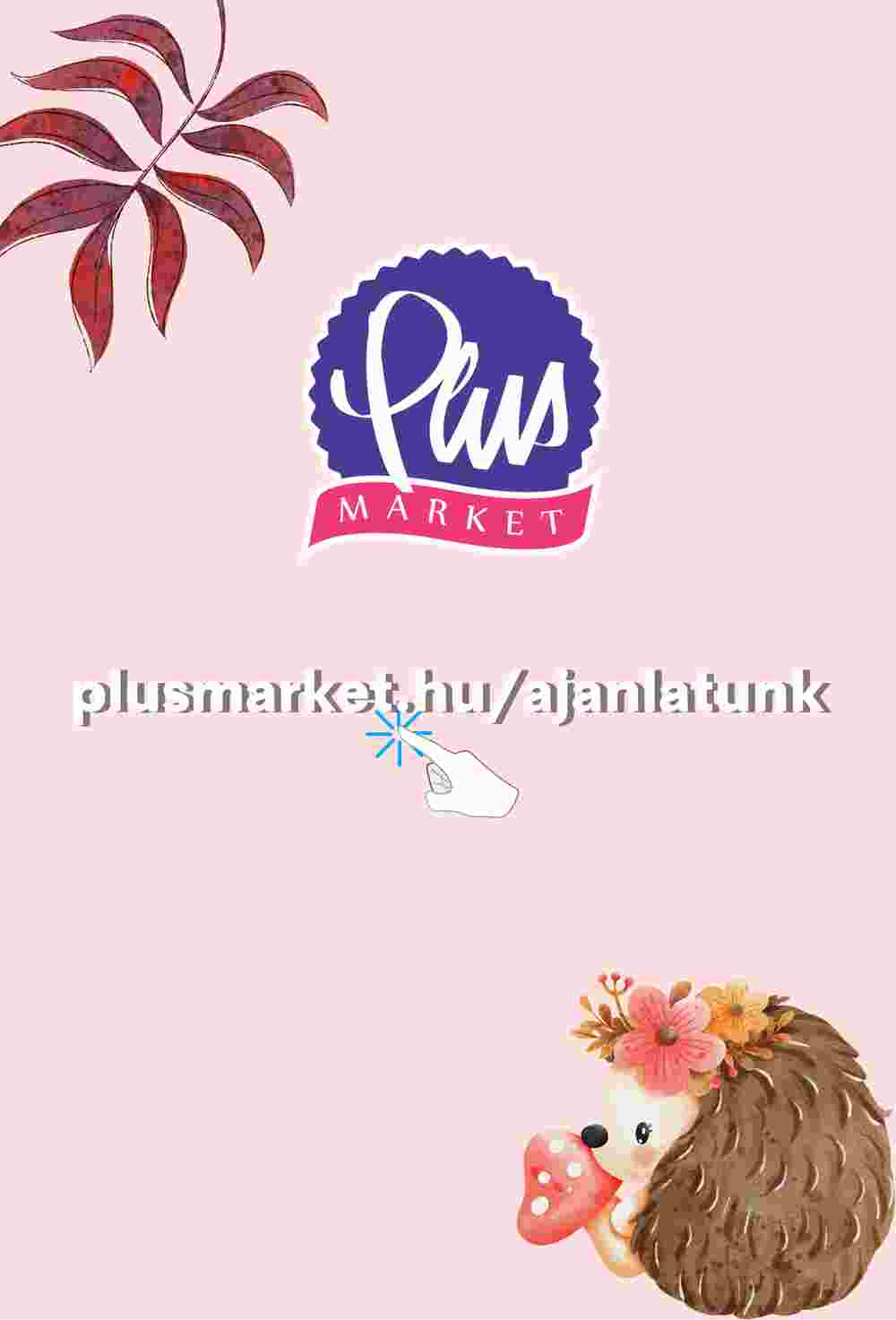 PlusMarket akciós újság 2023.10.19-től - 10. oldal.