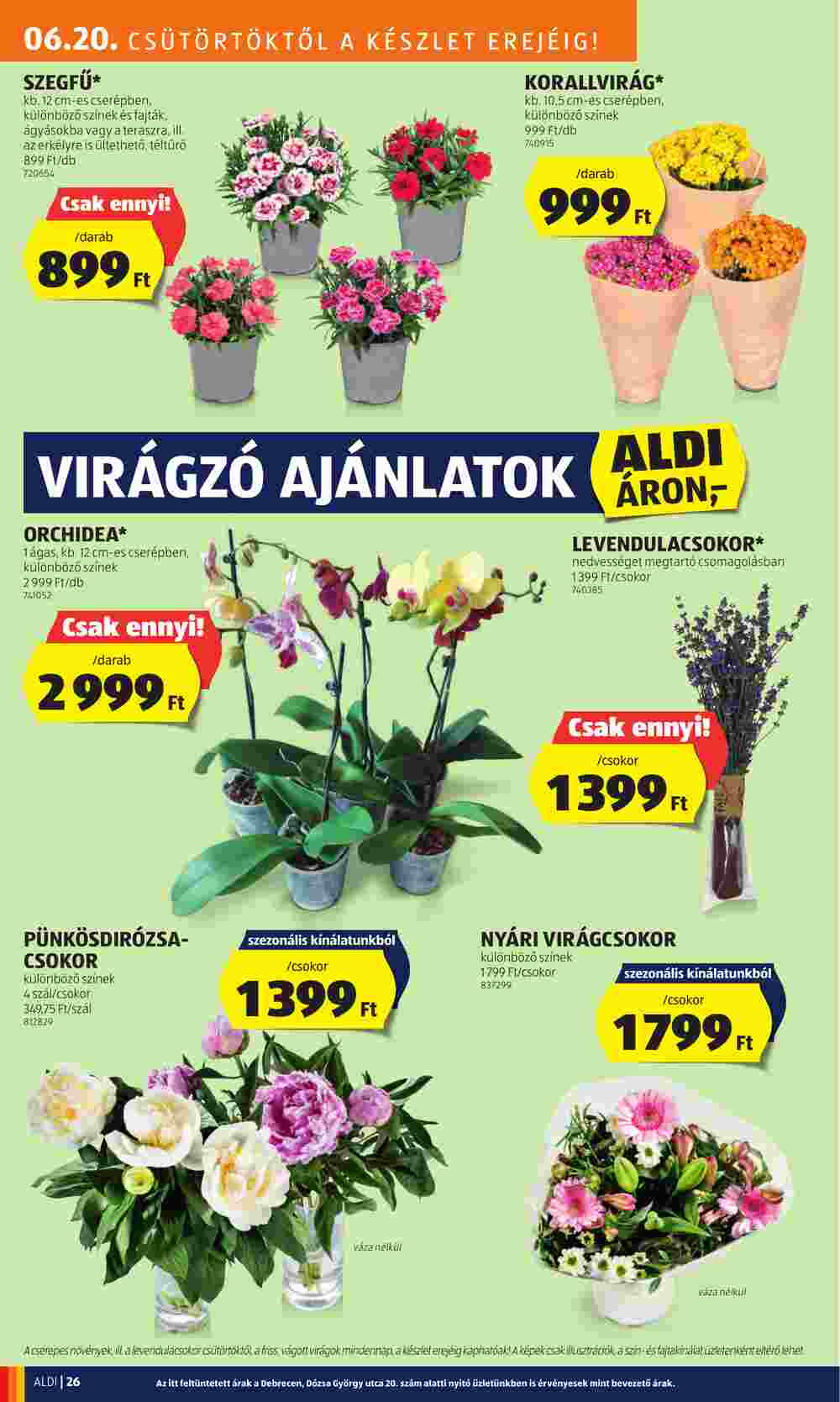 Aldi akciós újság 2024.06.20-tól - 28. oldal.