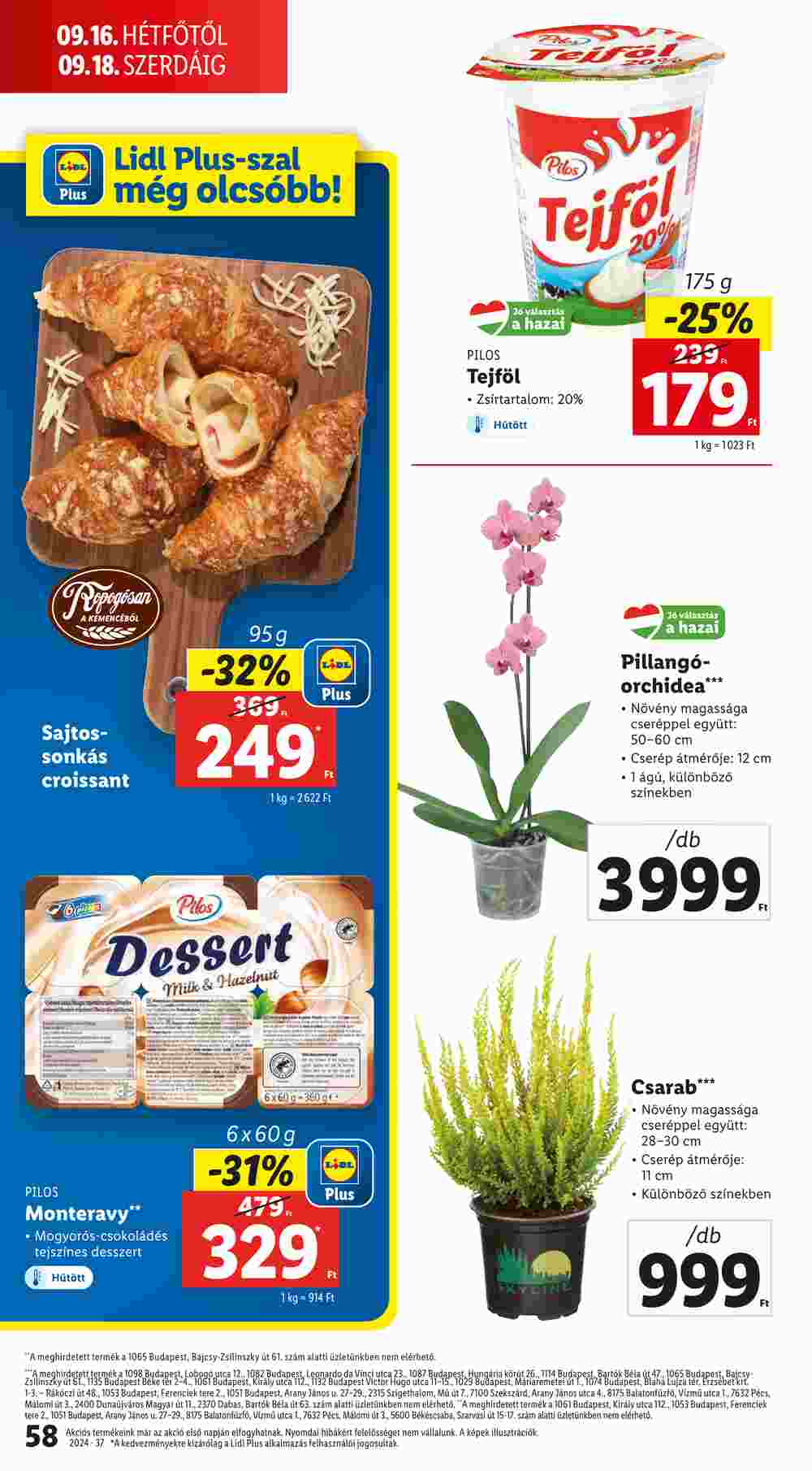 Lidl akciós újság 2024.09.12-től - 58. oldal.