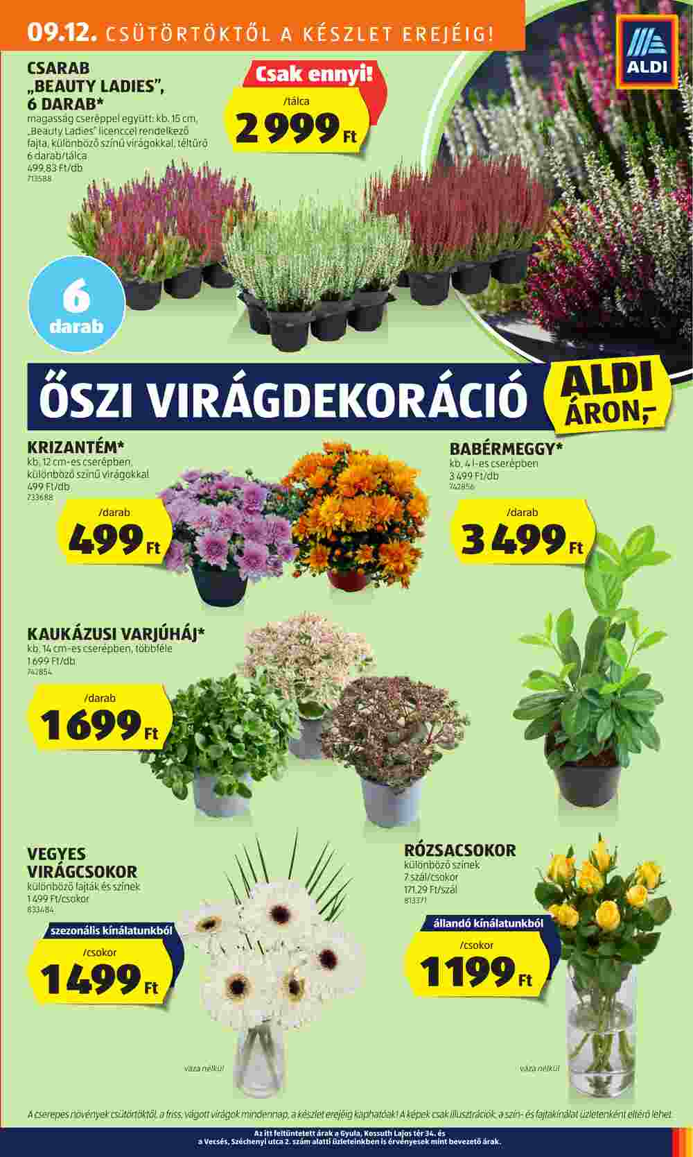 Aldi akciós újság 2024.09.12-től - 27. oldal.