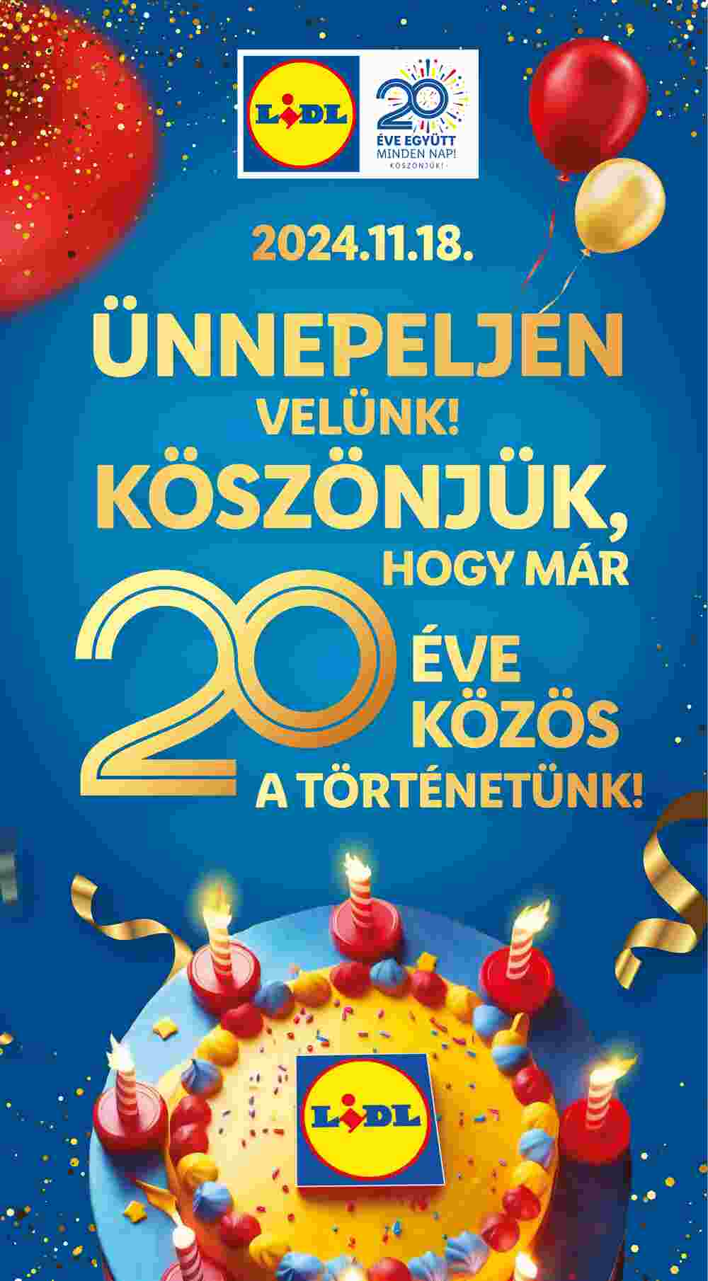 Lidl akciós újság 2024.11.14-től - 47. oldal.