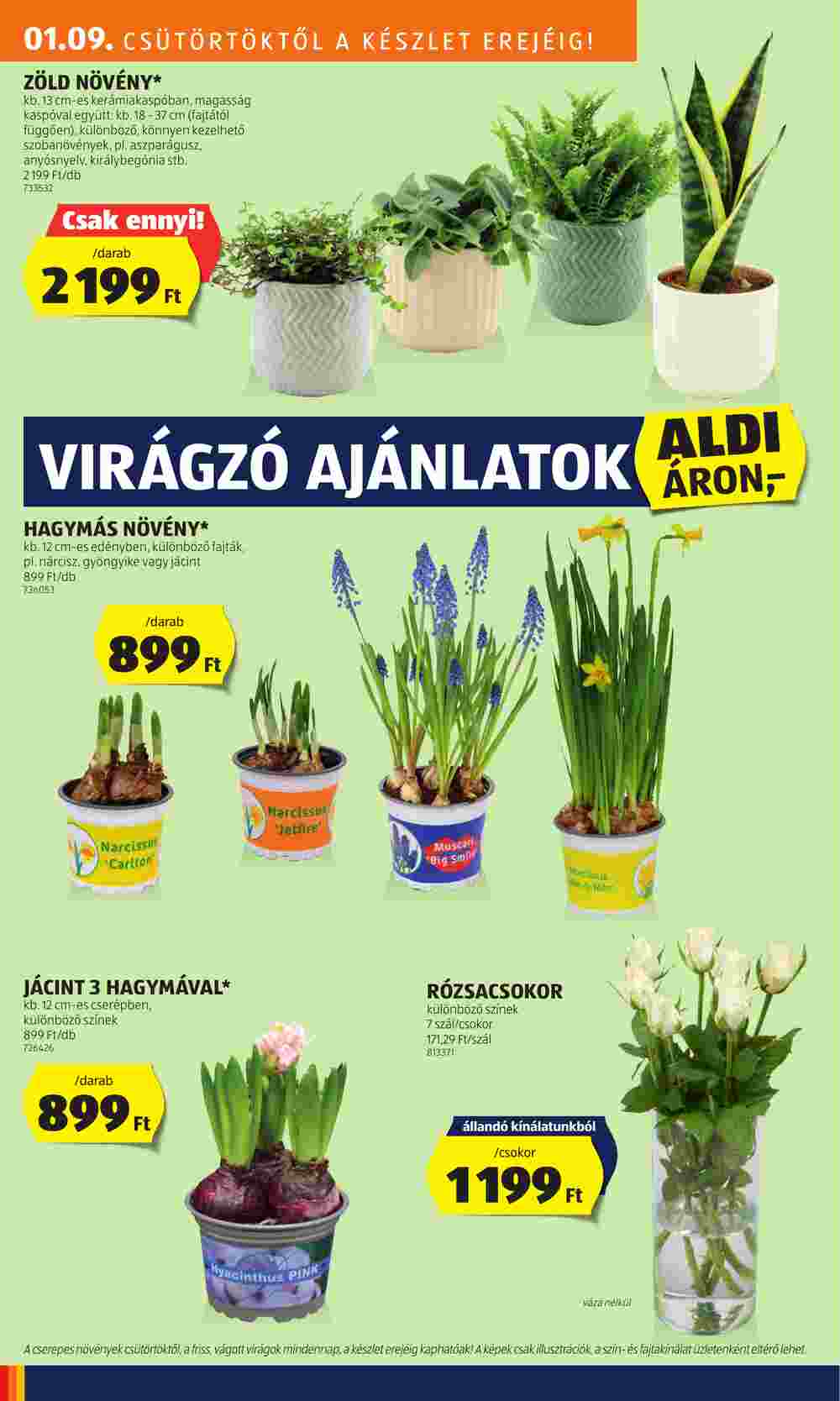 Aldi akciós újság 2025.01.09-től - 30. oldal.