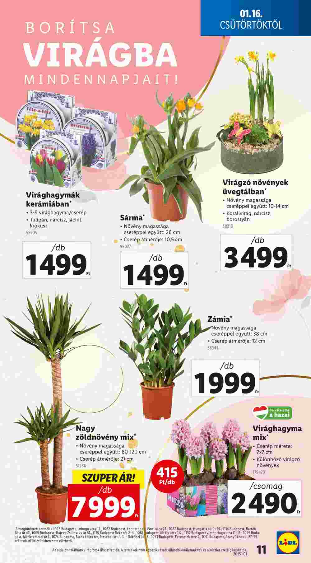 Lidl akciós újság 2025.01.16-tól - 11. oldal.