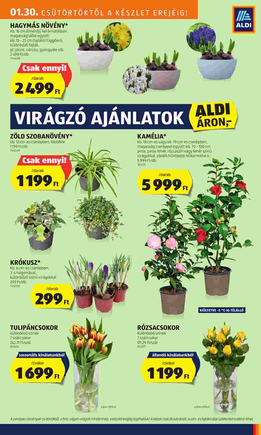 Aldi akciós újság 2025.01.30-tól - 27. oldal.