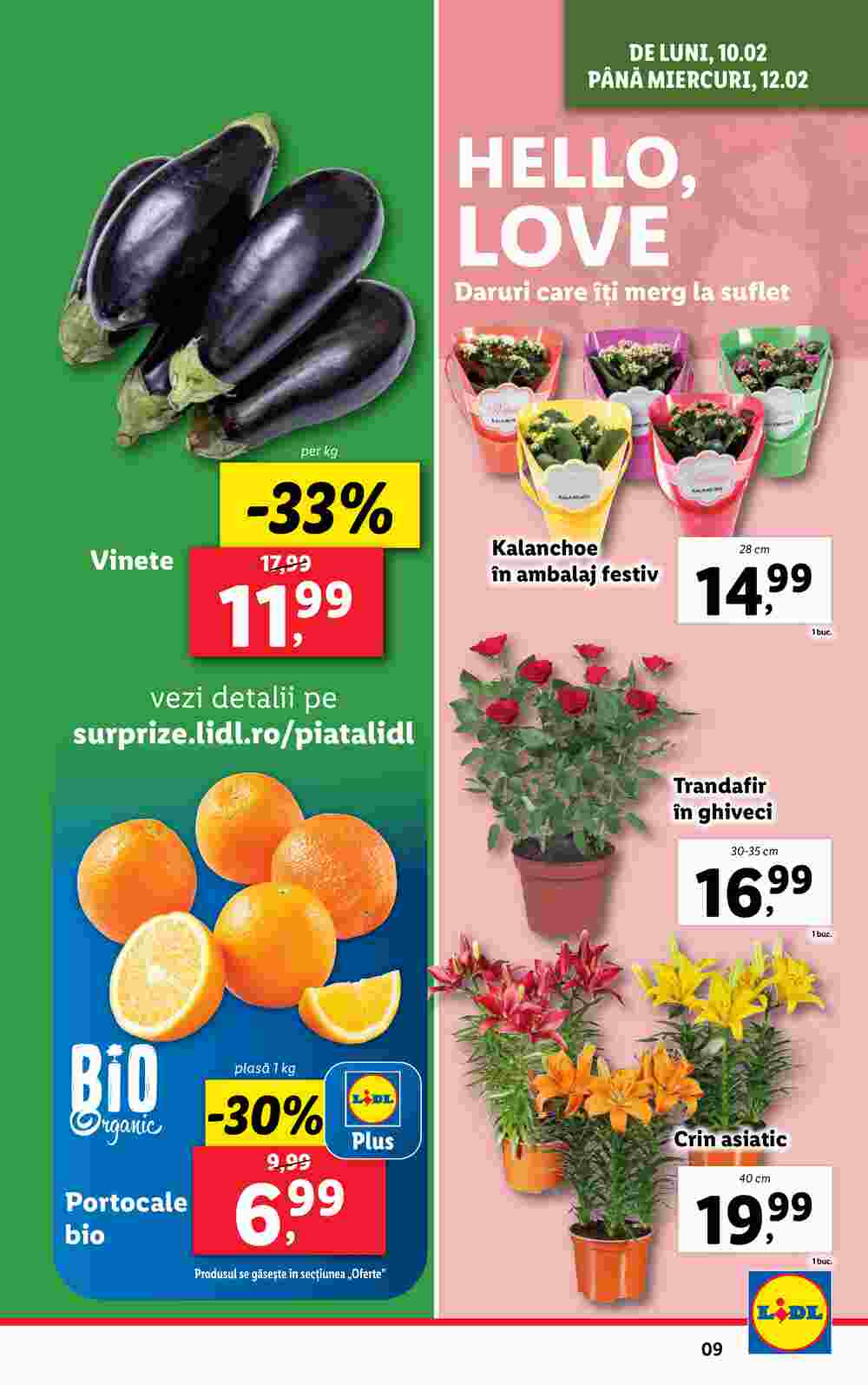 Lidl akciós újság 2025.02.10-től - 9. oldal.