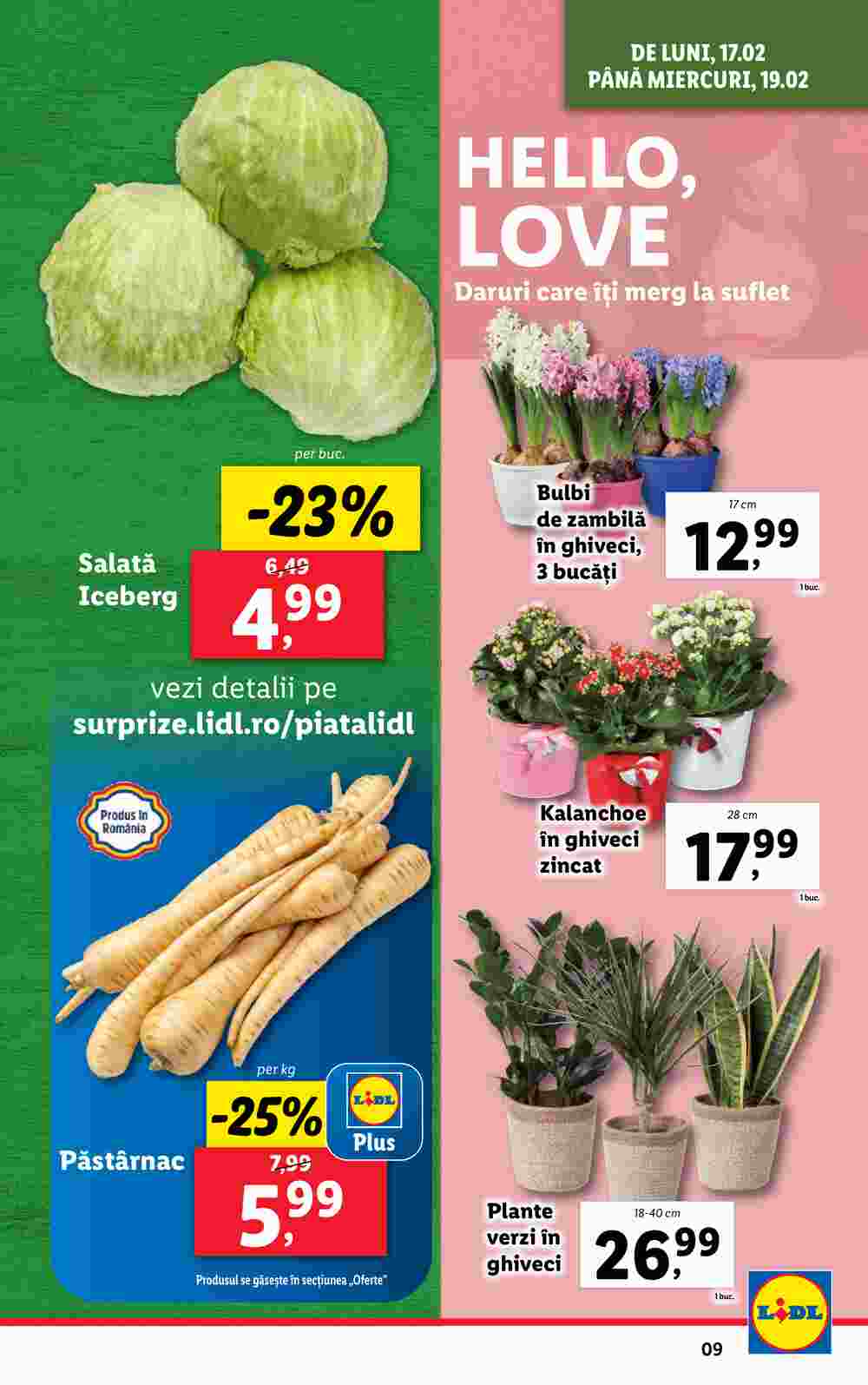 Lidl akciós újság 2025.02.17-től - 9. oldal.