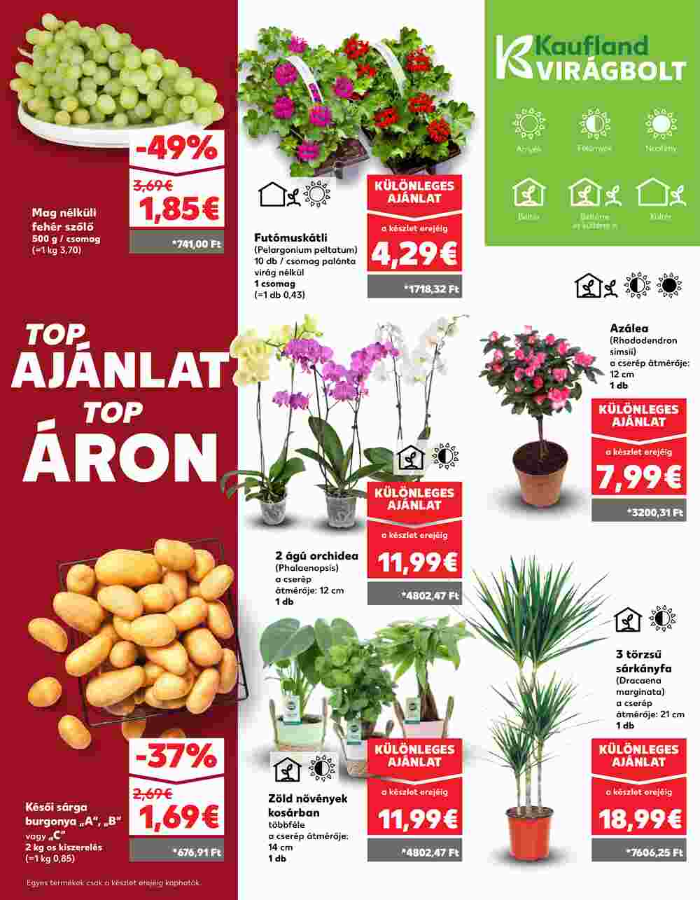 Kaufland akciós újság 2025.03.20-tól - 7. oldal.