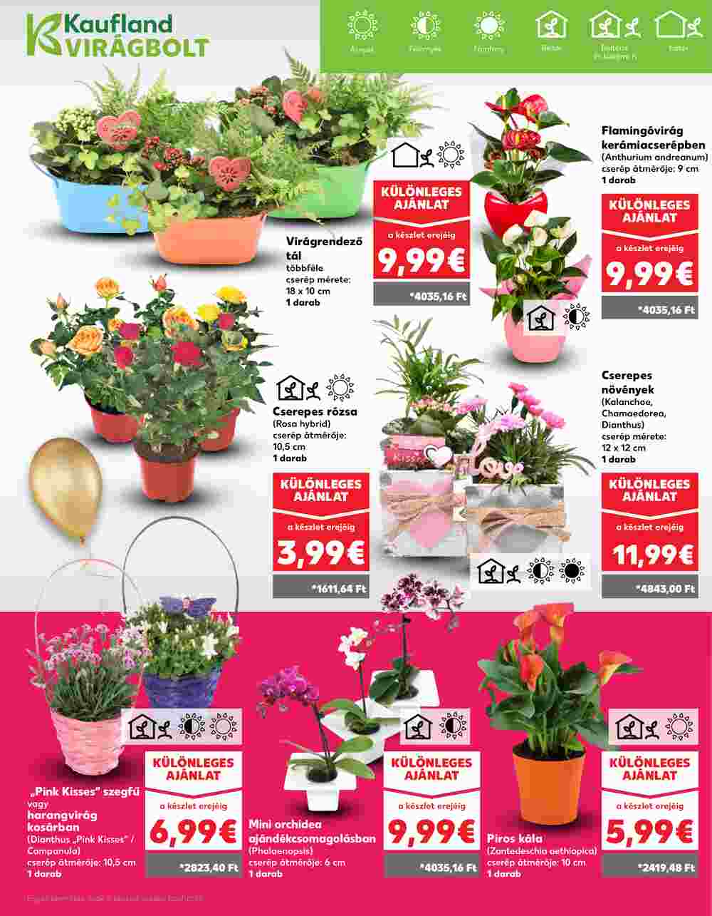 EcoFamily akciós újság 2025.05.08-tól - 11. oldal.