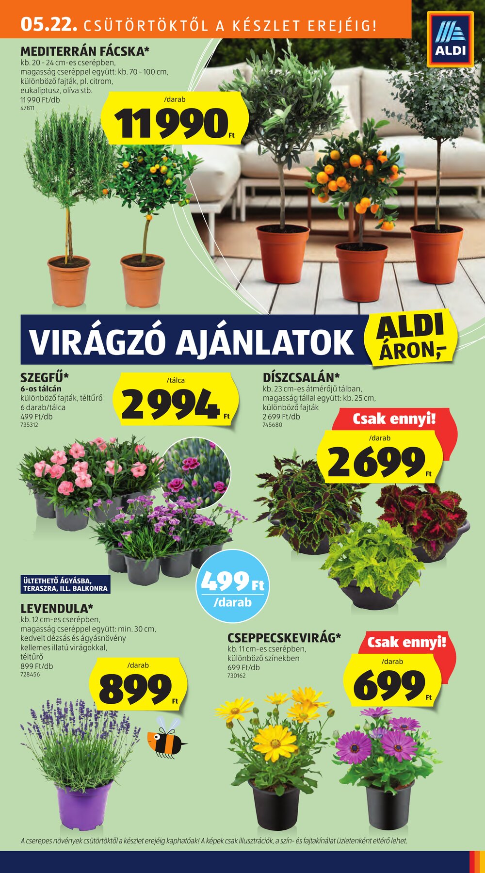 Aldi akciós újság 2025.05.22-től - 15. oldal.